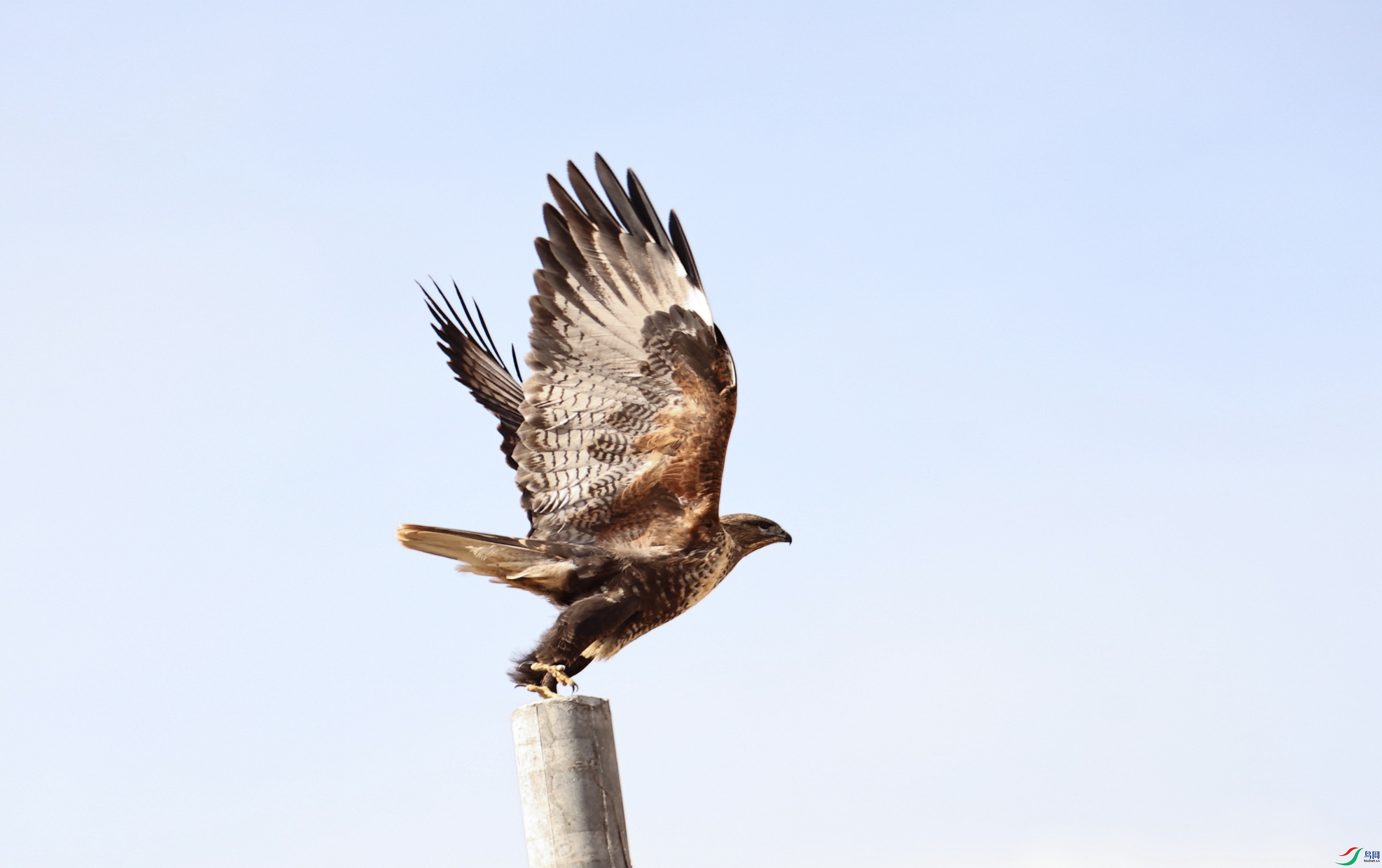 7X5A9125 ����4444.jpg