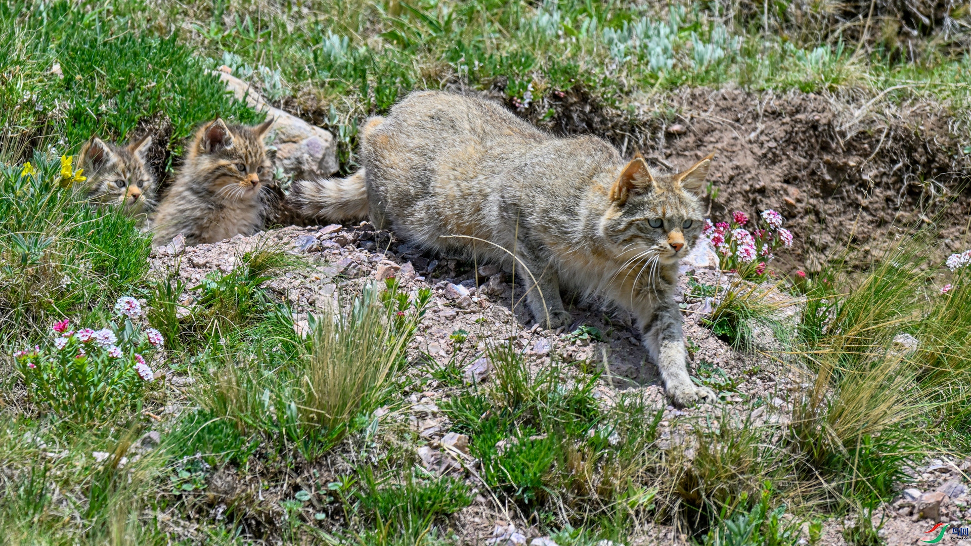 _DSC1553_����.jpg