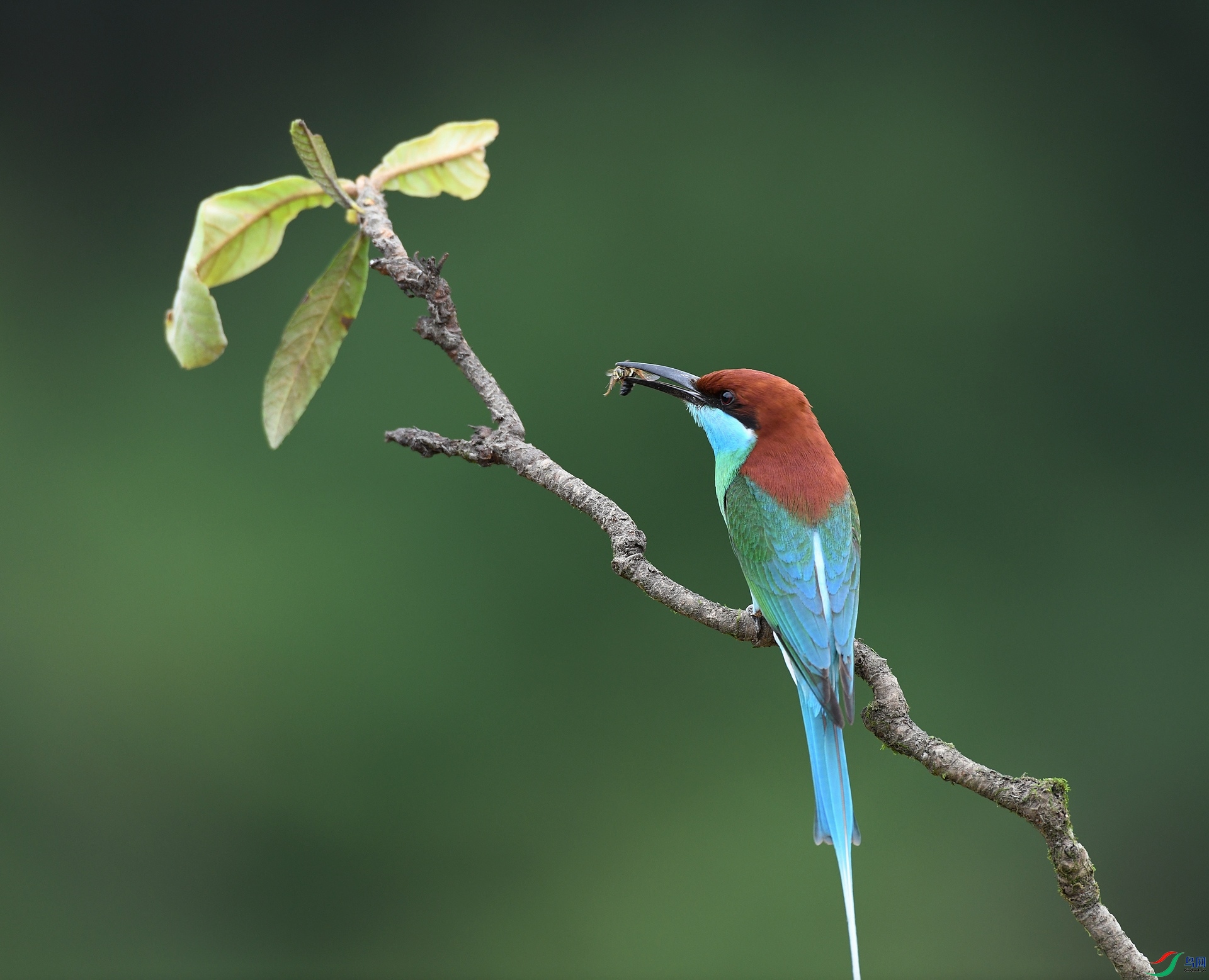 DSC_7239.jpg