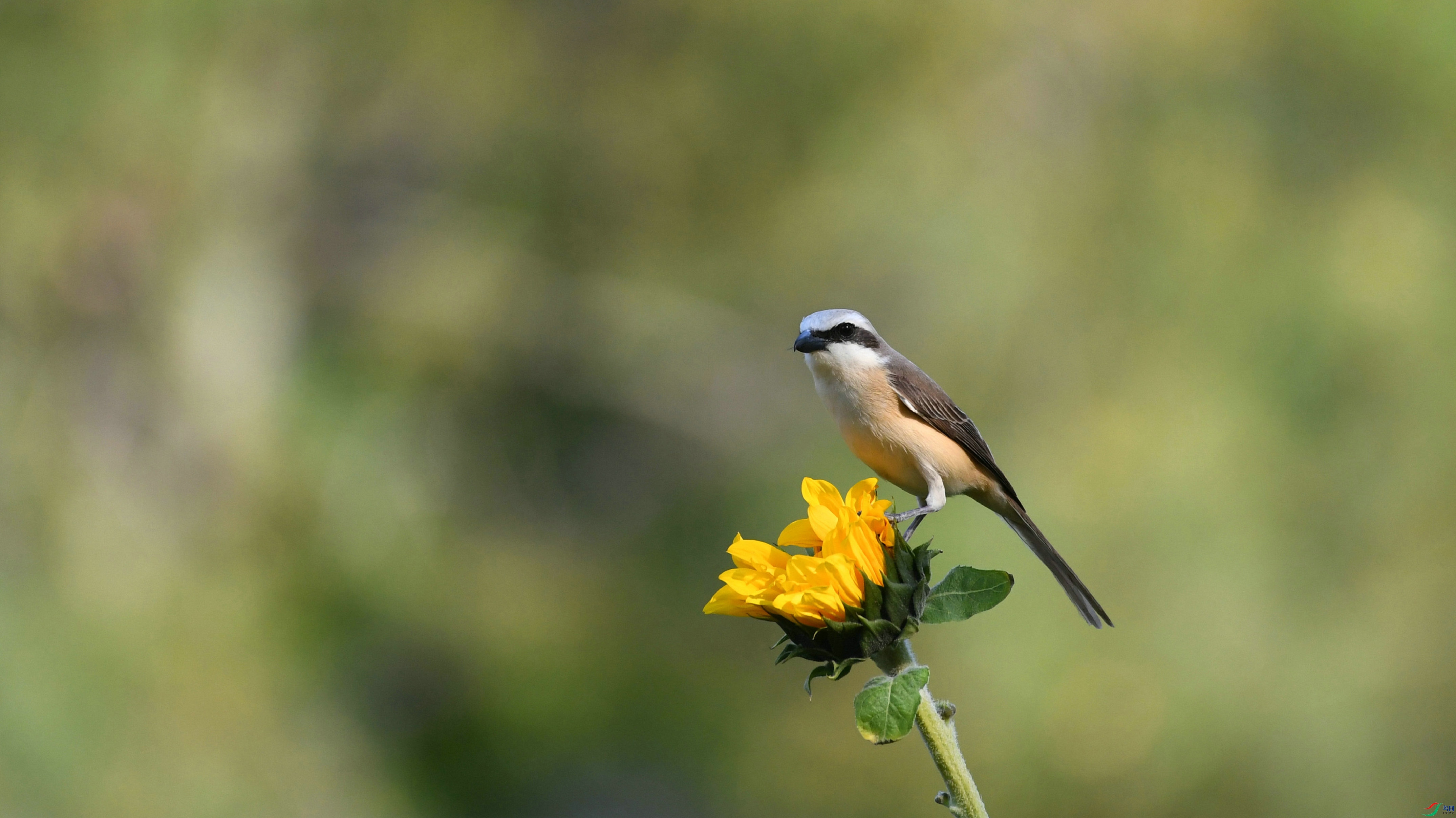 DSC_5028.JPG