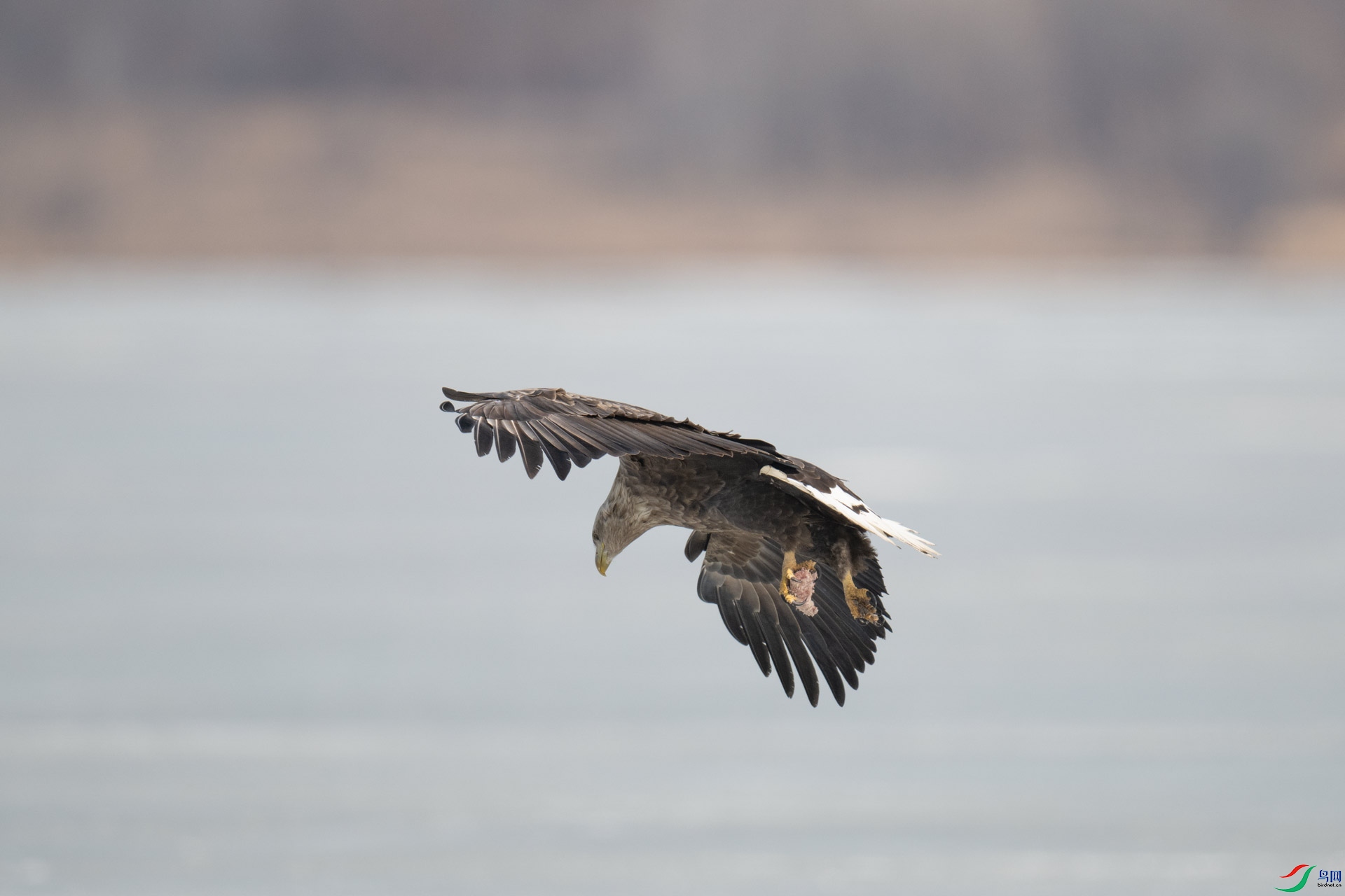 _DSC3547-1x6.jpg