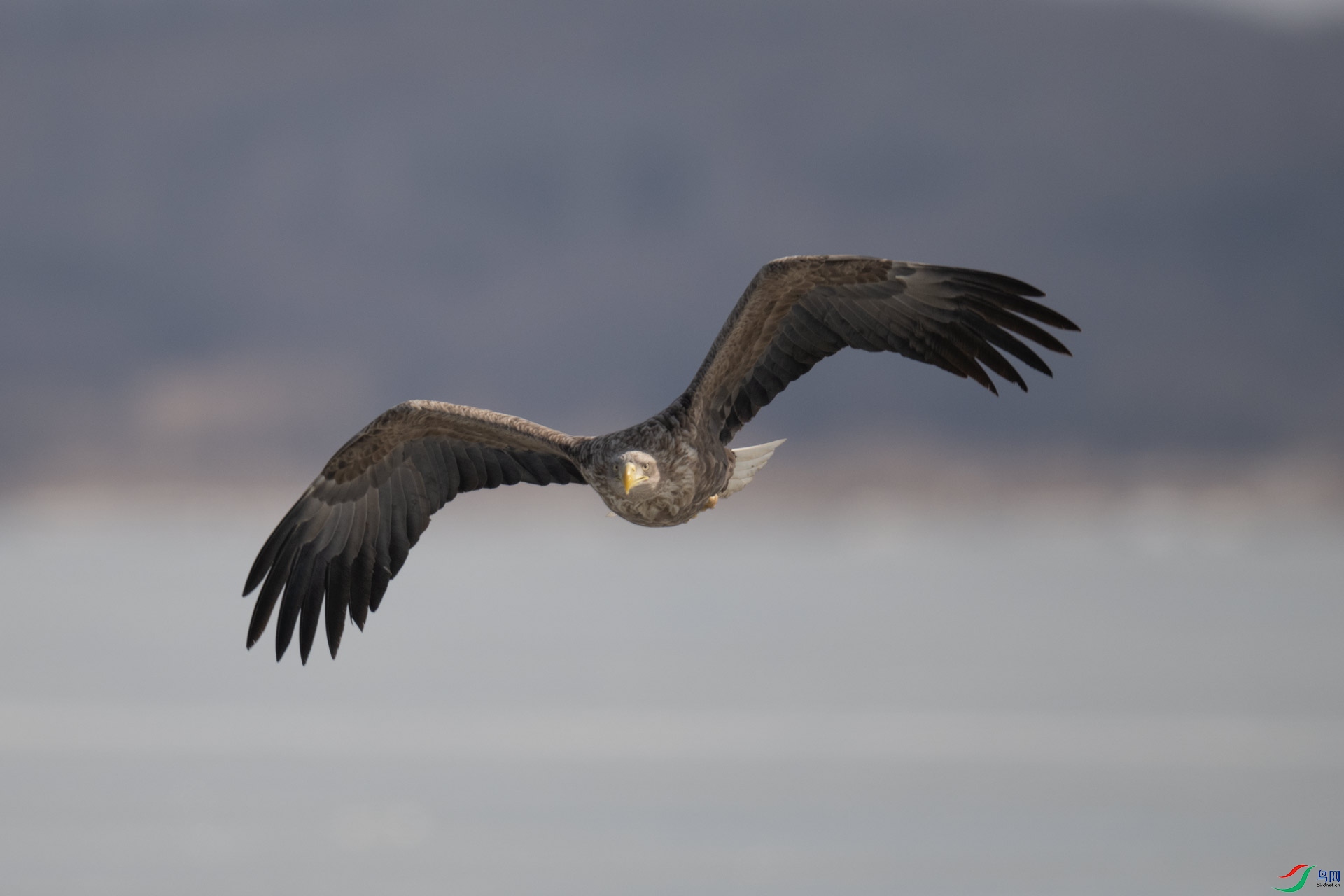 _DSC3551-1x10.jpg