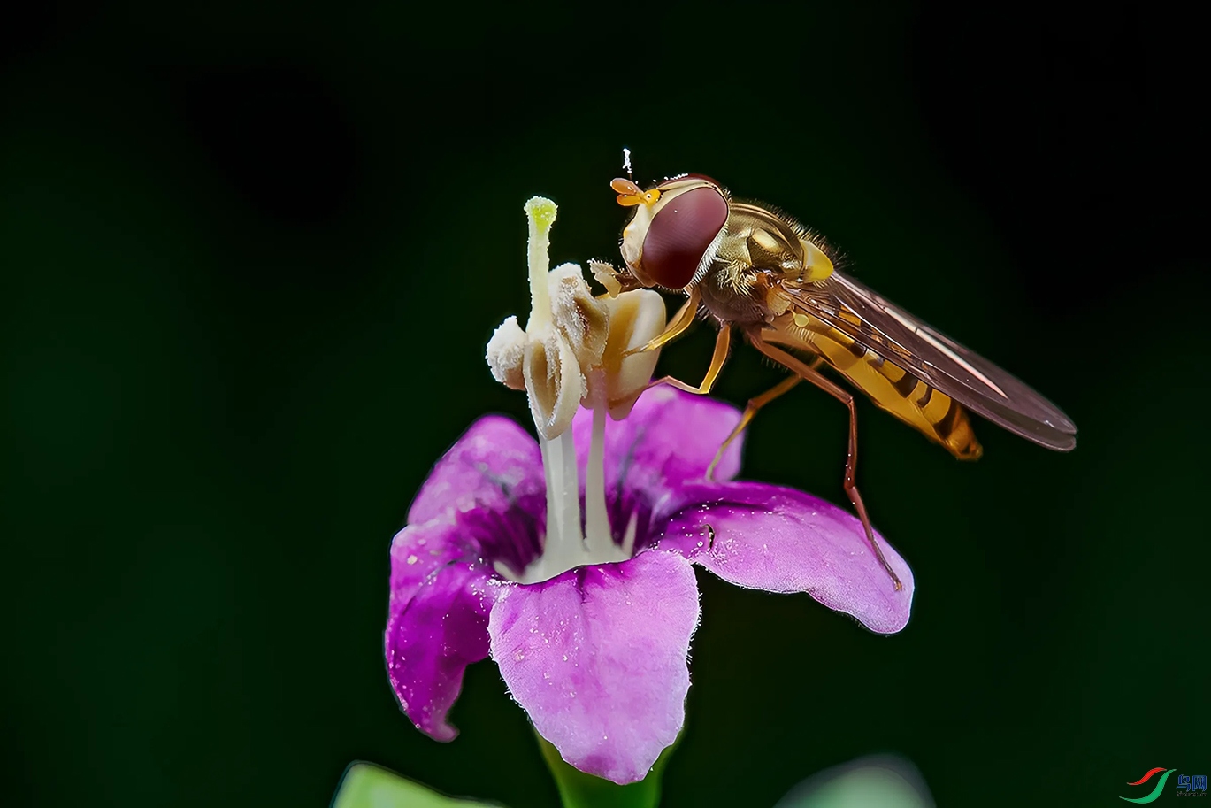 DSC_2415=.jpg
