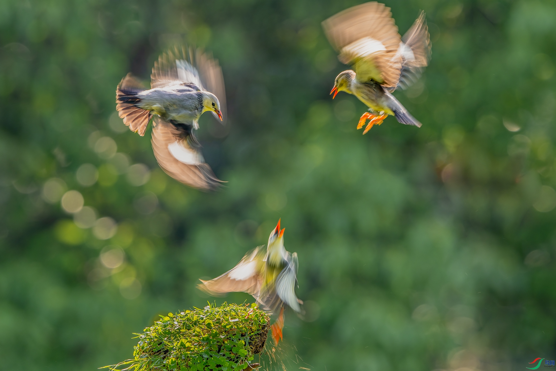 _DSC5832 ����С.jpg