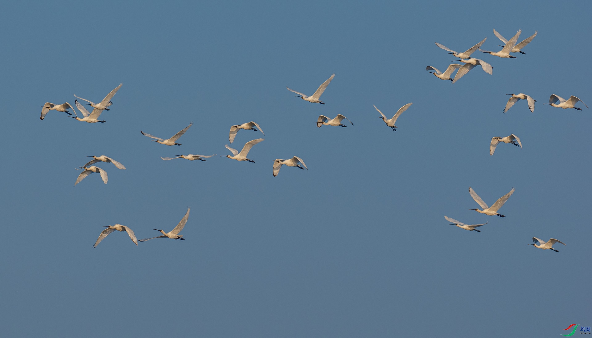 PA238520.jpg