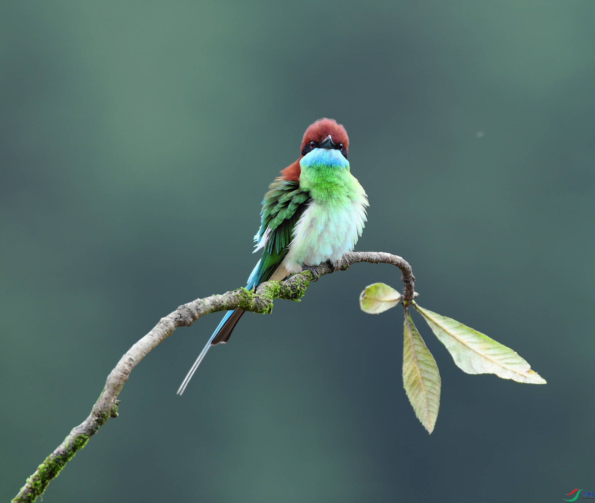 DSC_5777.jpg