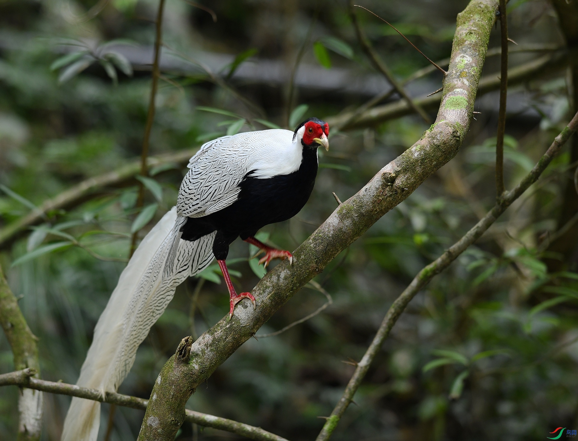 DSC_6140.jpg