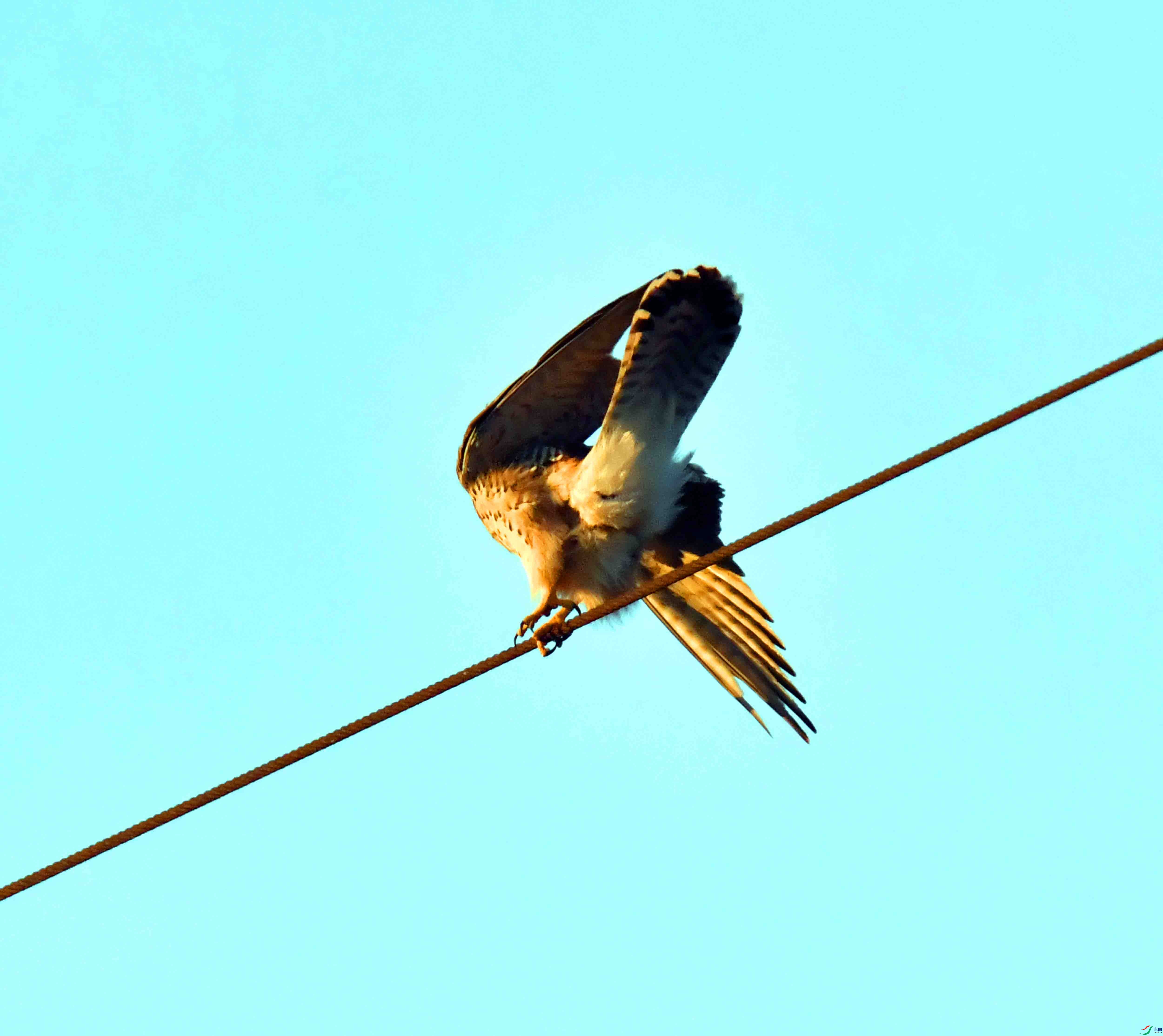 DSC_7181.JPG