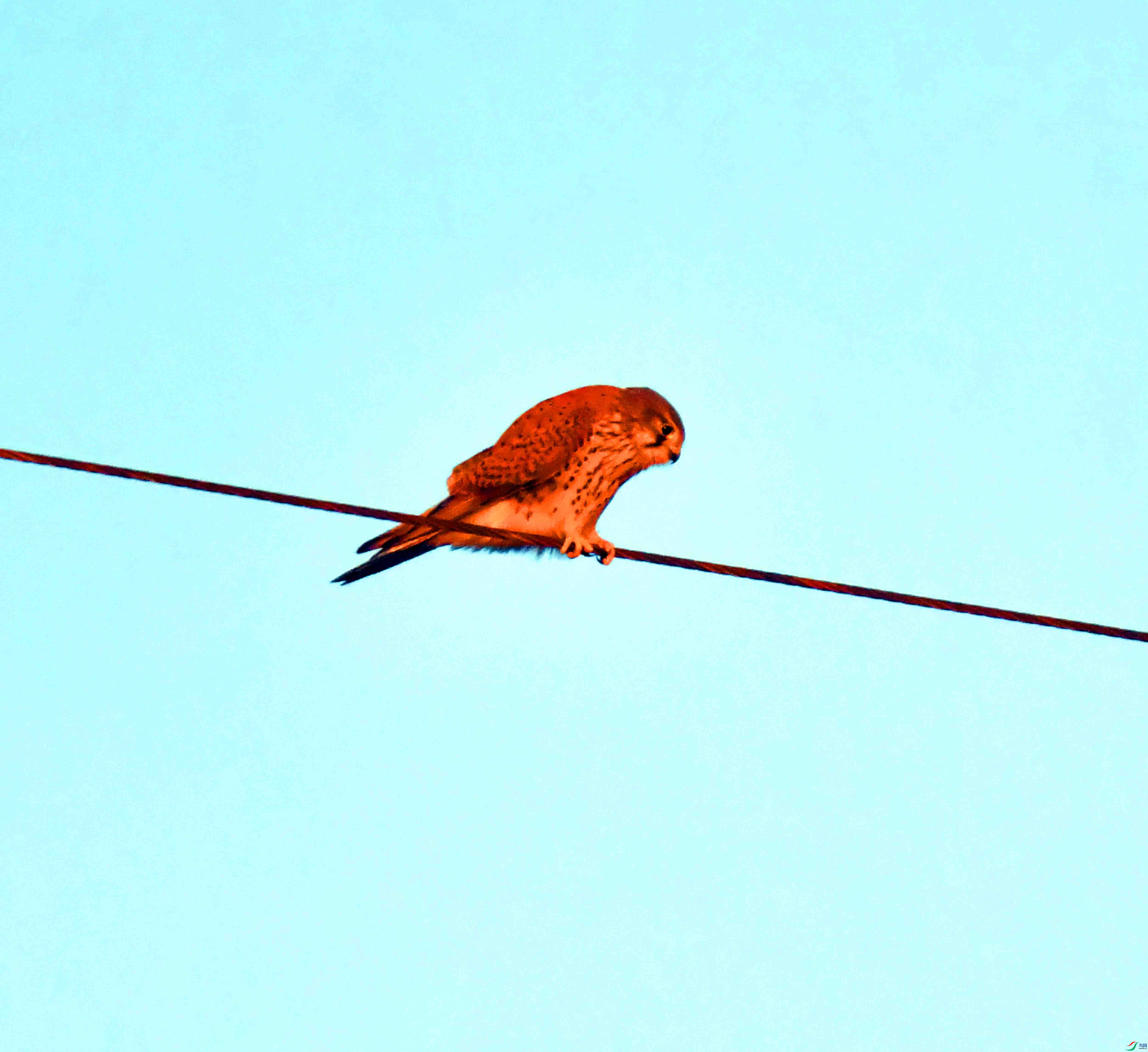 DSC_9283.JPG