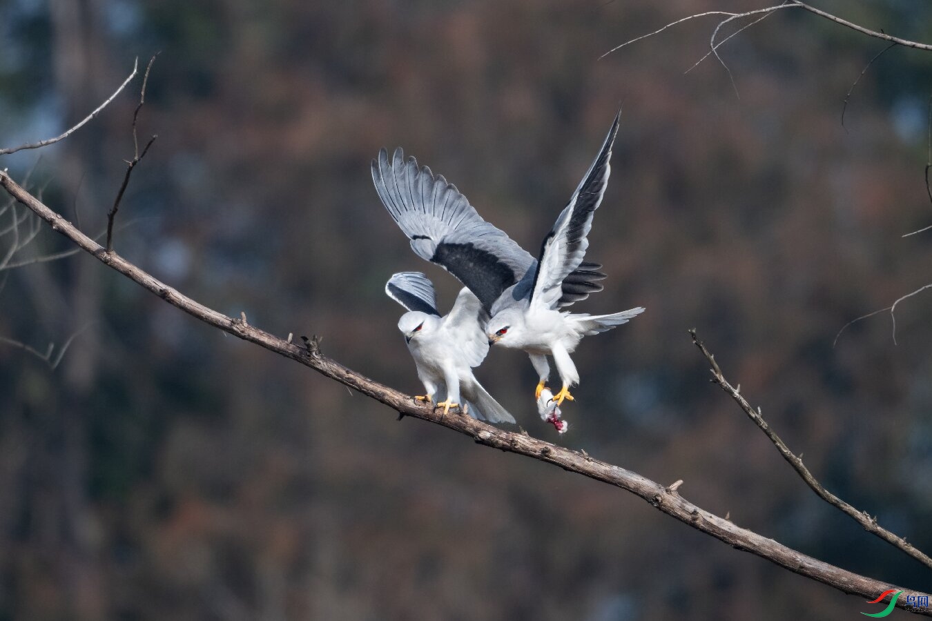 _DSC3720 ����.jpg