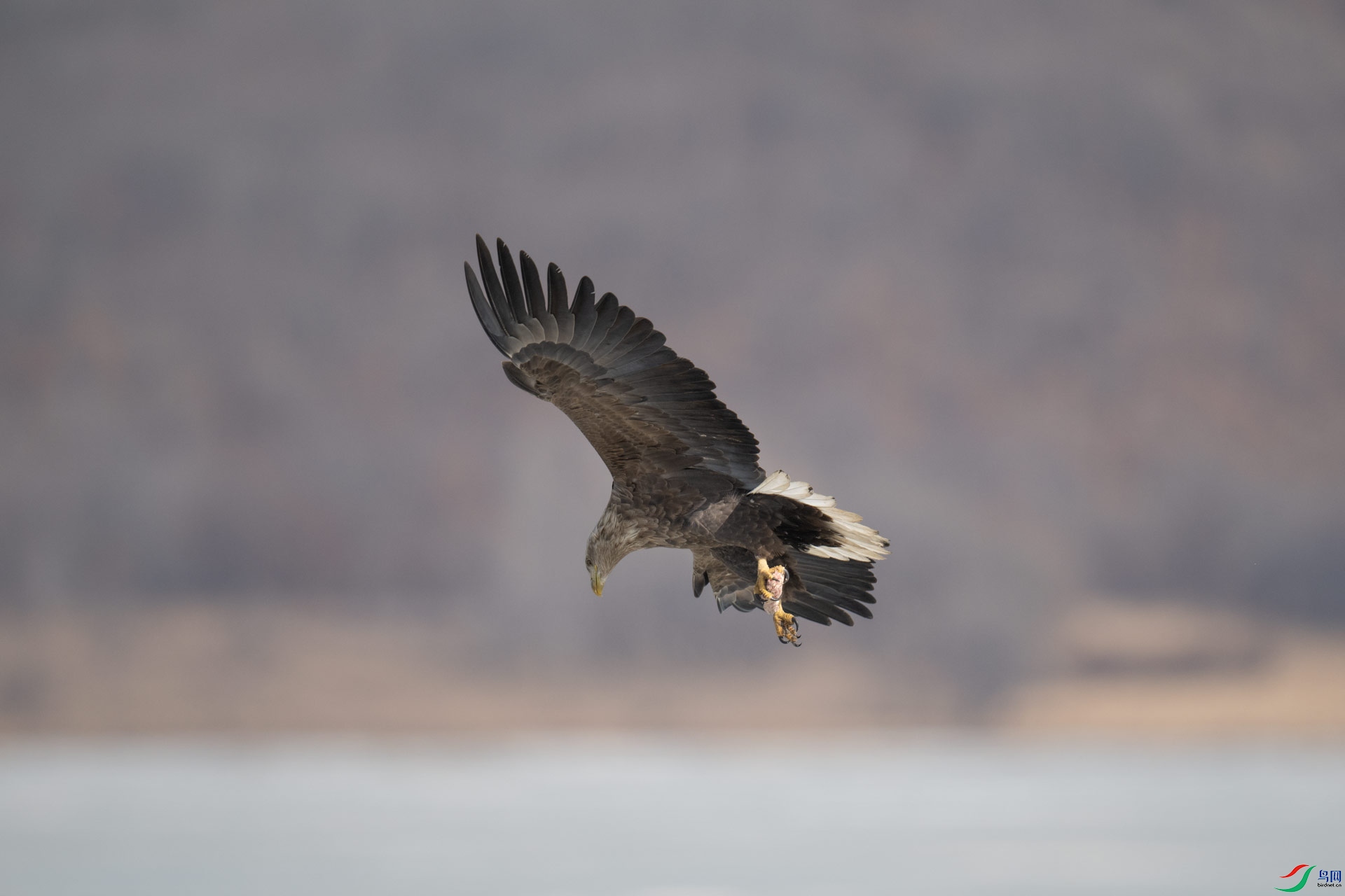 _DSC3543-1x2.jpg