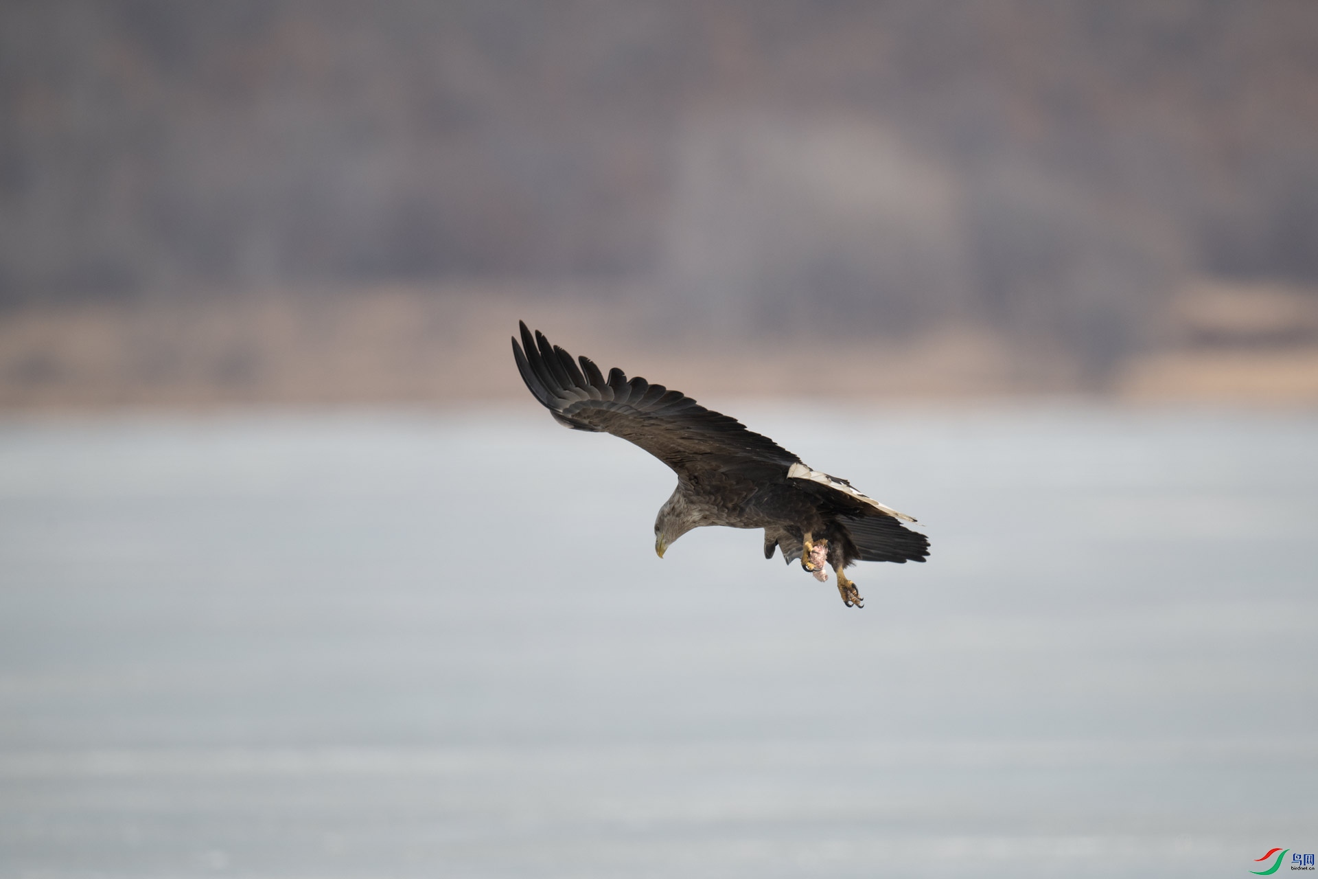 _DSC3545-1x4.jpg
