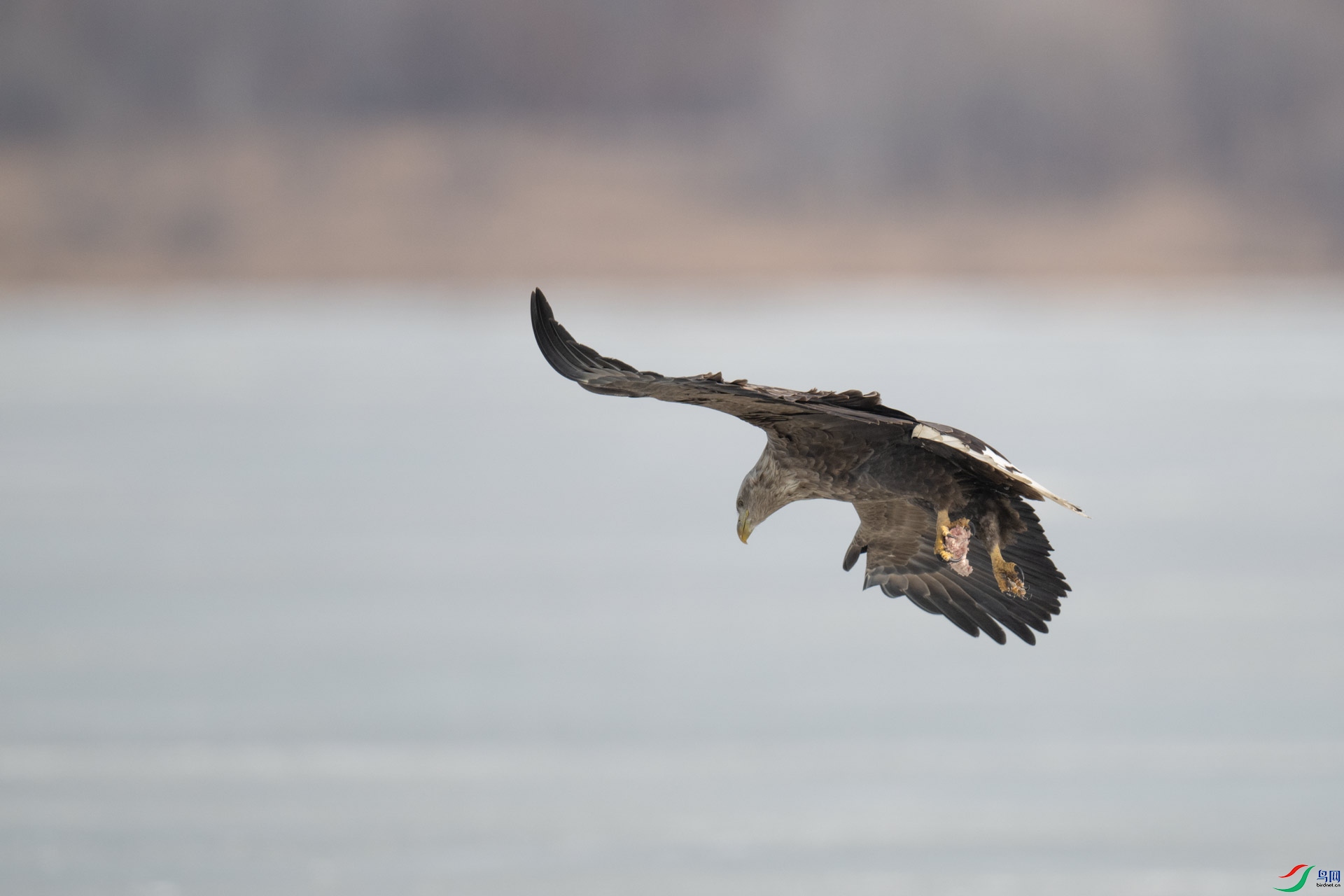_DSC3546-1x5.jpg