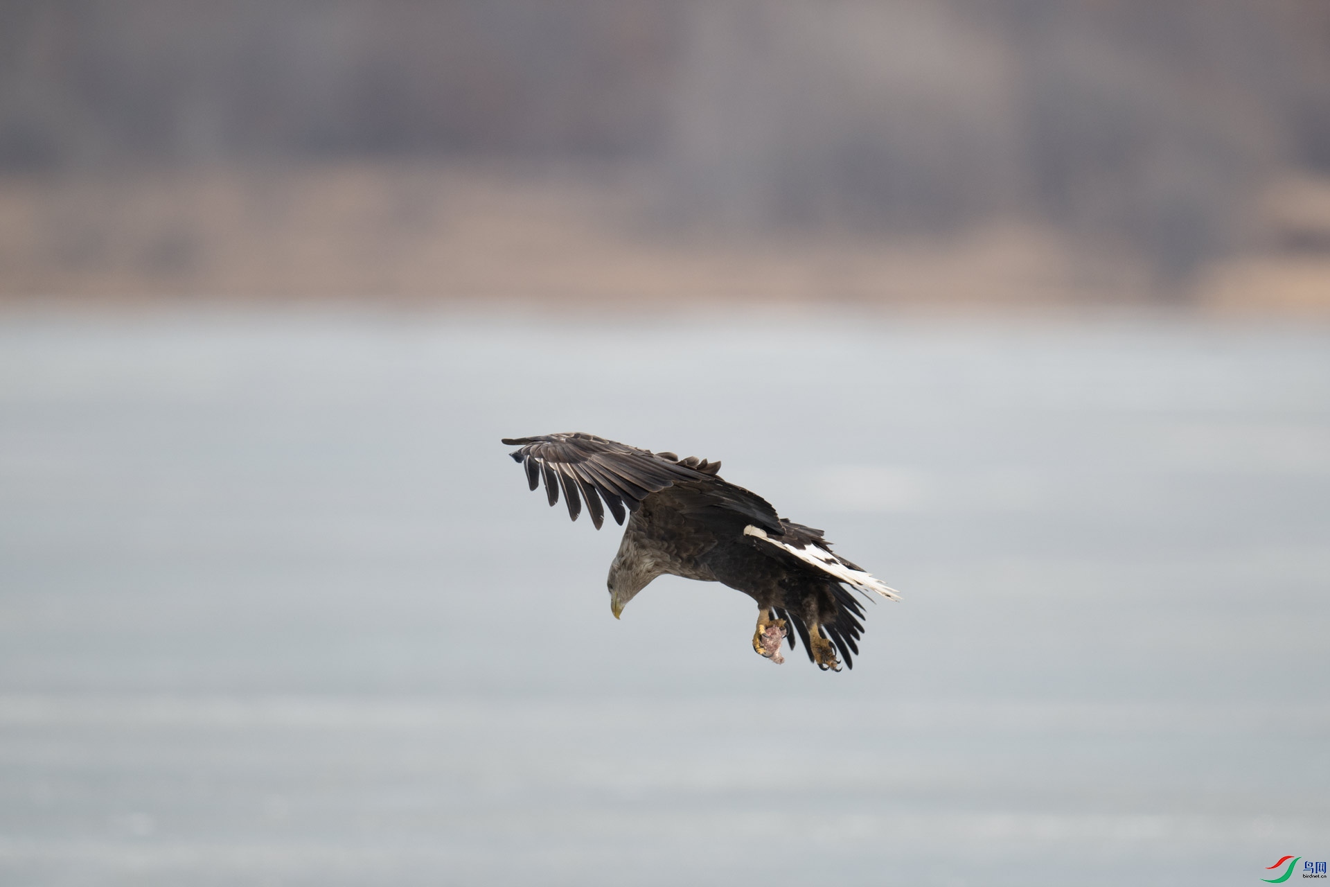 _DSC3548-1x7.jpg