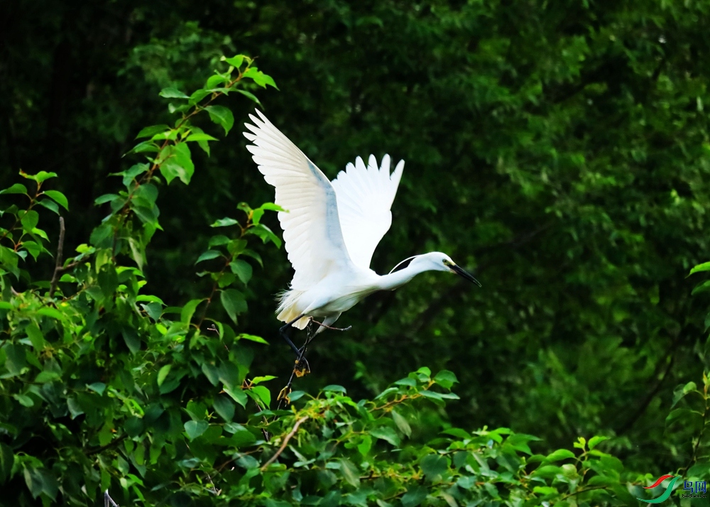΢��ͼƬ_20250618094300_����.jpg