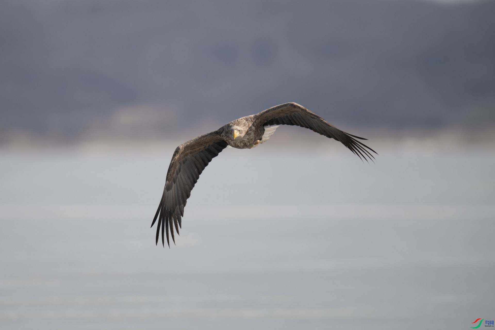 _DSC3550-1x9.jpg