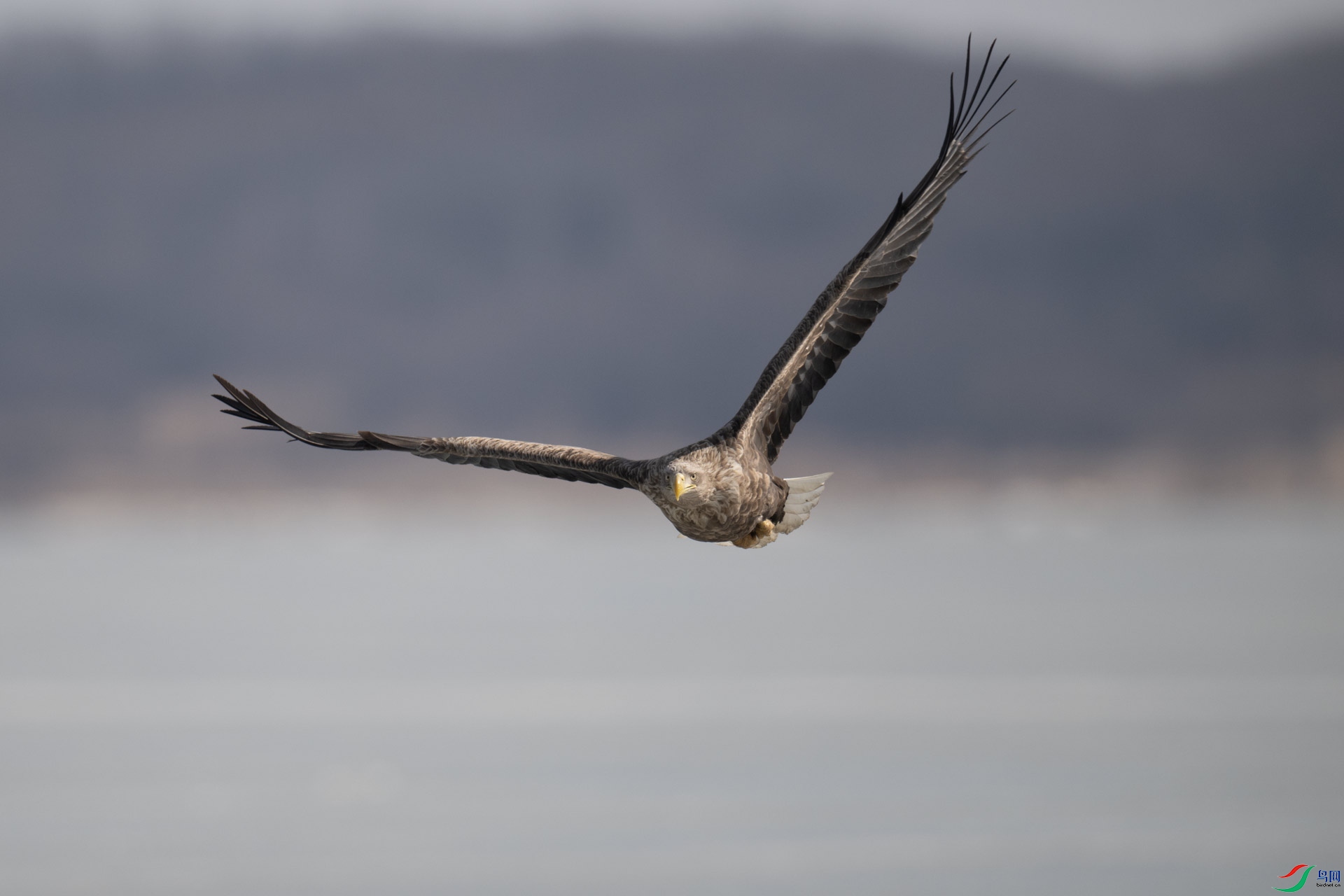 _DSC3553-1x12.jpg