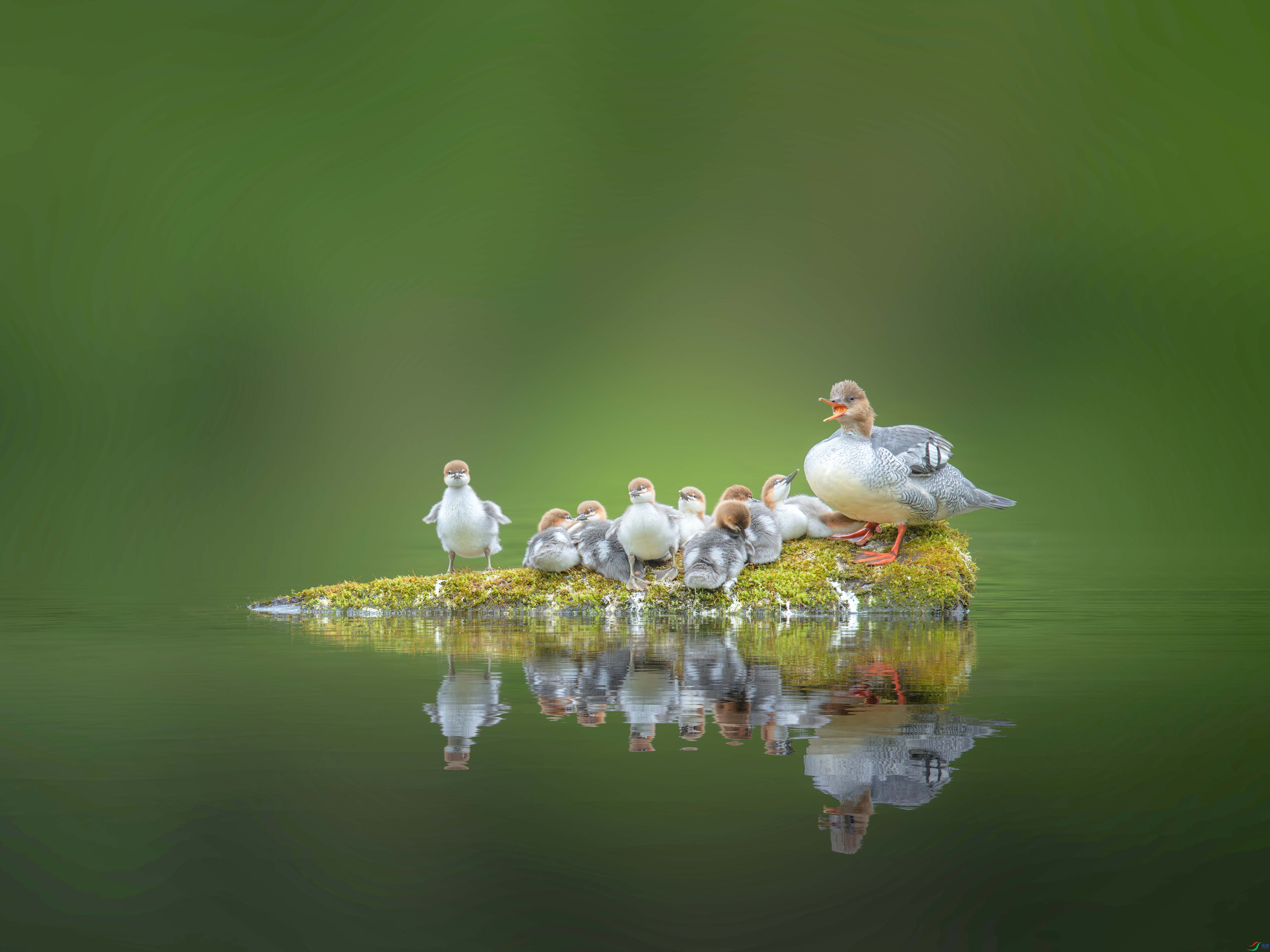 _DSC4483-2����ǿ-NR.jpg
