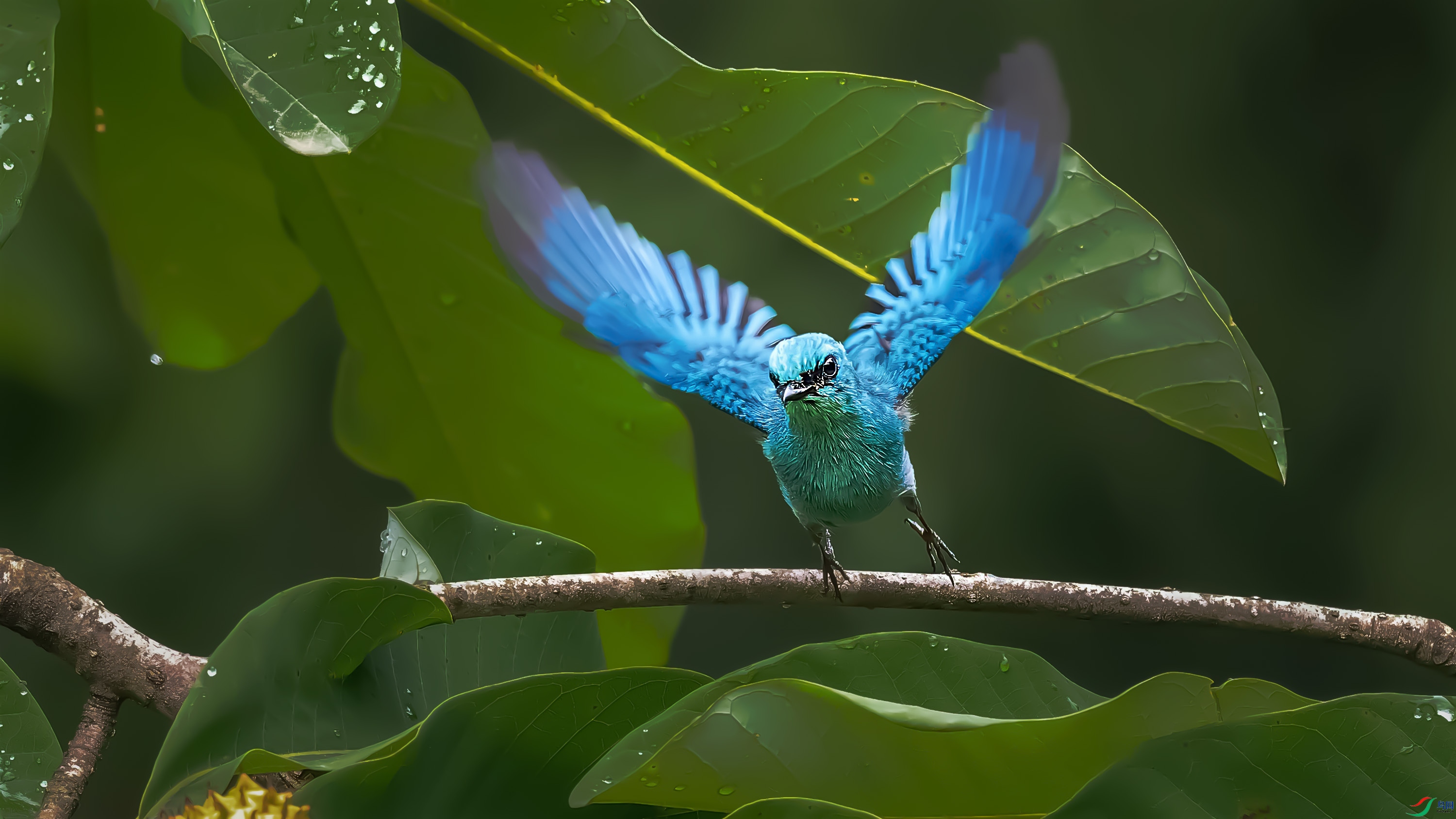 P6070047-ORF_DxO_DeepPRIMEXD ���� 2.jpg