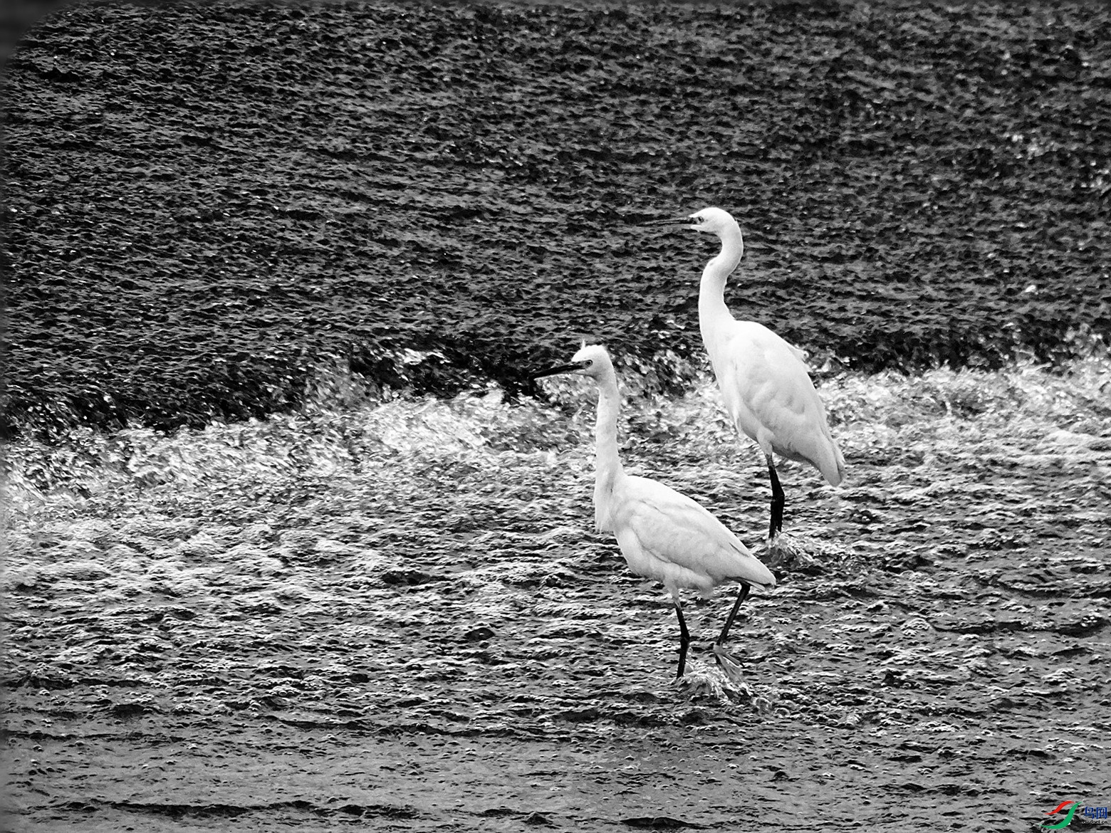 DSC02038_����.jpg