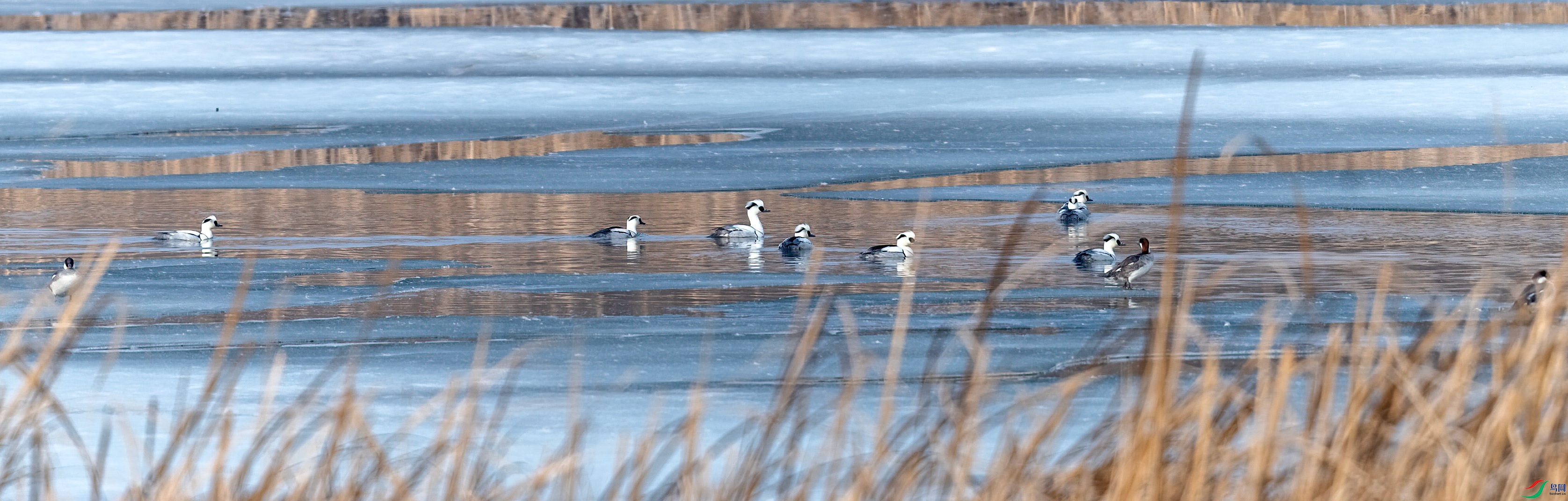 DSC_5638.jpg