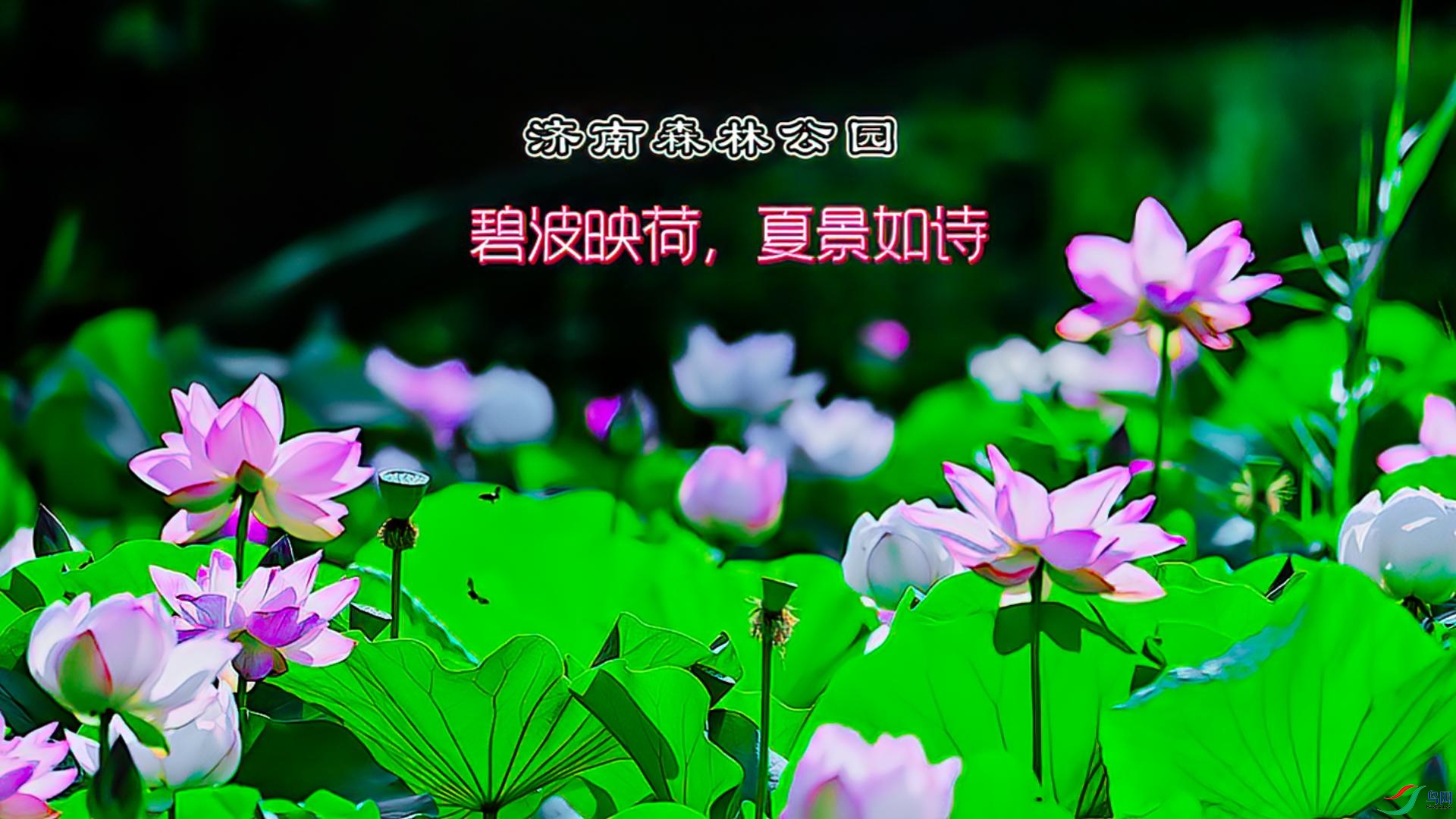 �̲�ӳ�ɣ��ľ���ʫ