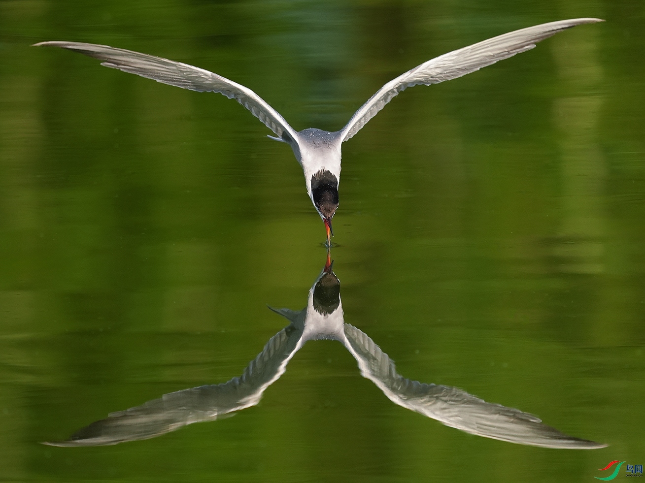 DSC00389 ����.jpg