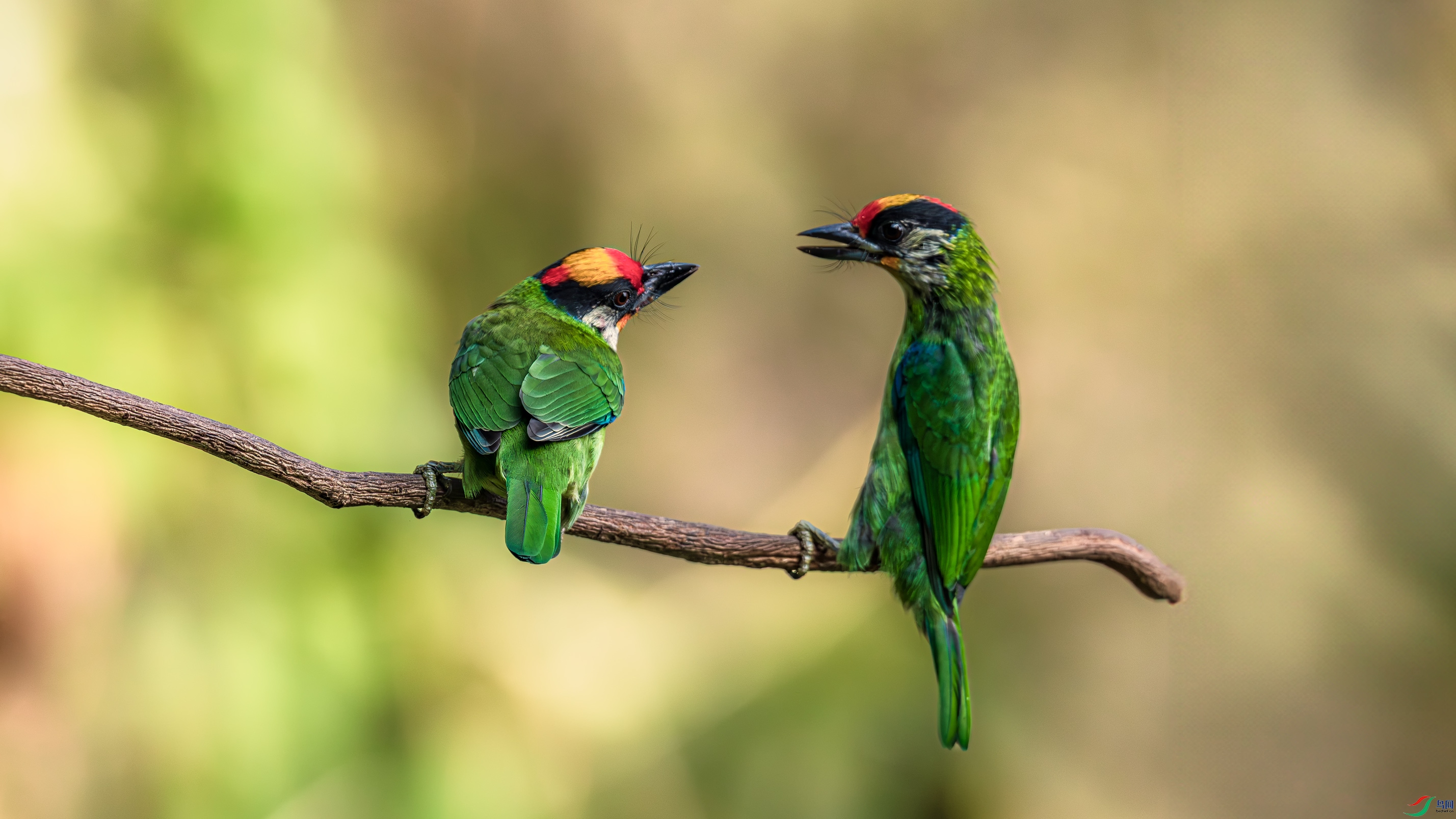 a_DSC5841_����.jpg