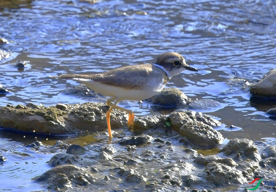 DSC_8633.JPG