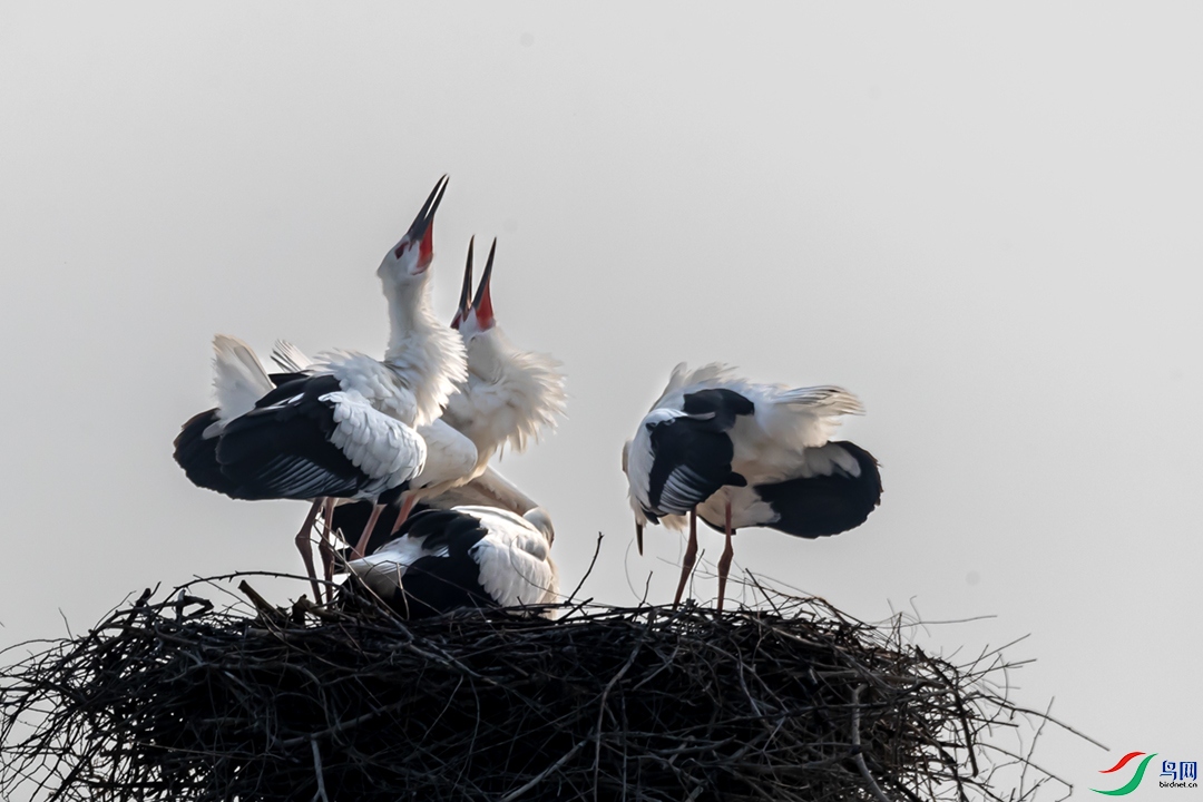 A63I3104_2 ����11.jpg