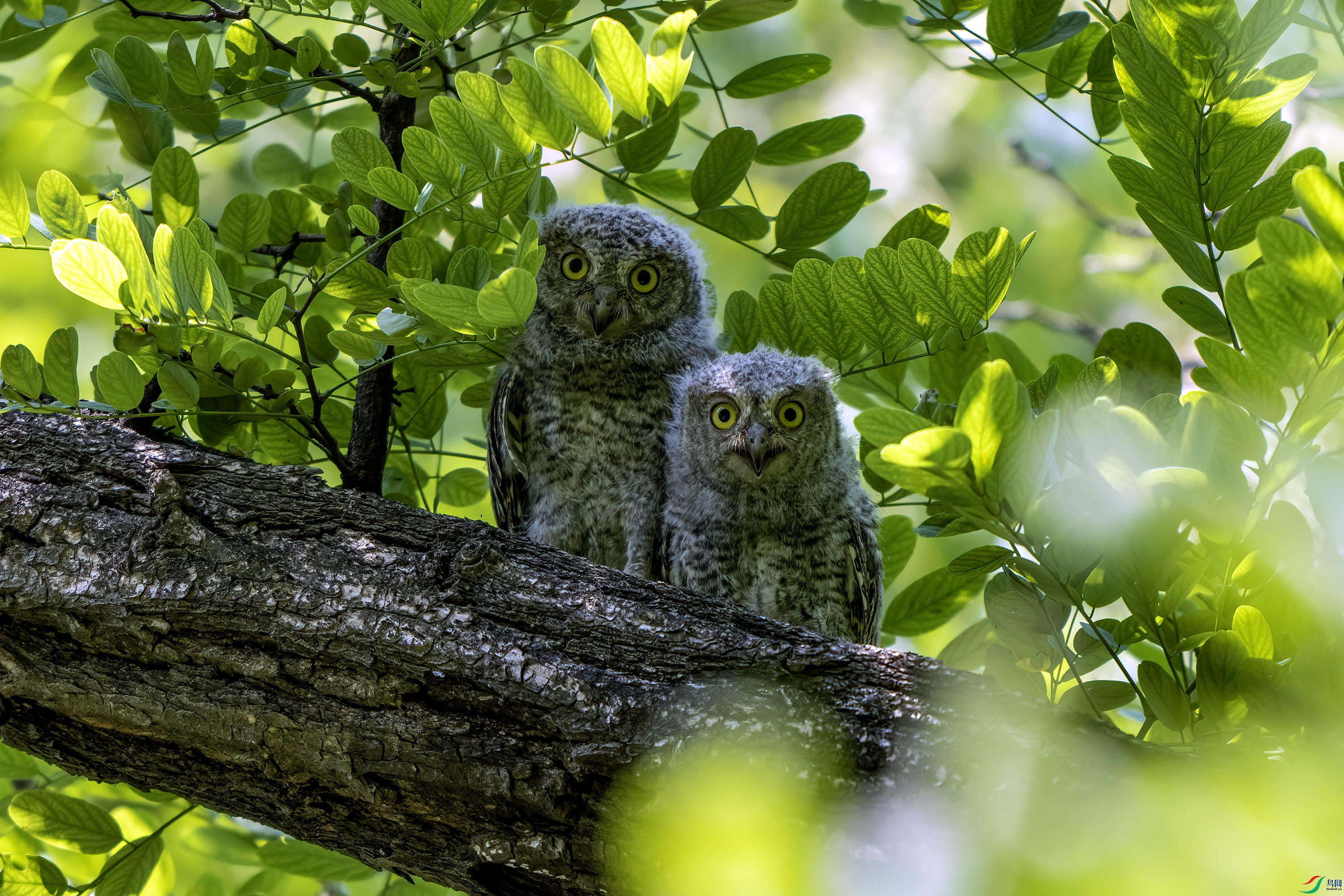 DSC_6120.jpg