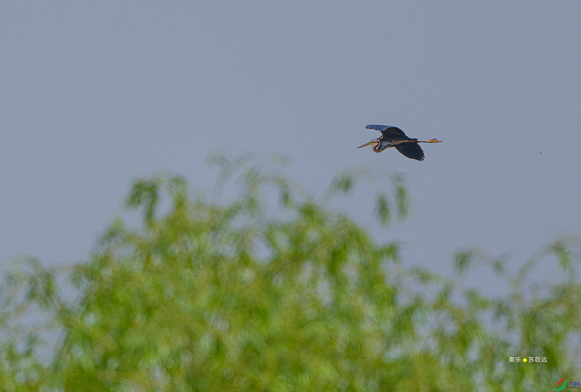 20250505-_DSC3719С.jpg