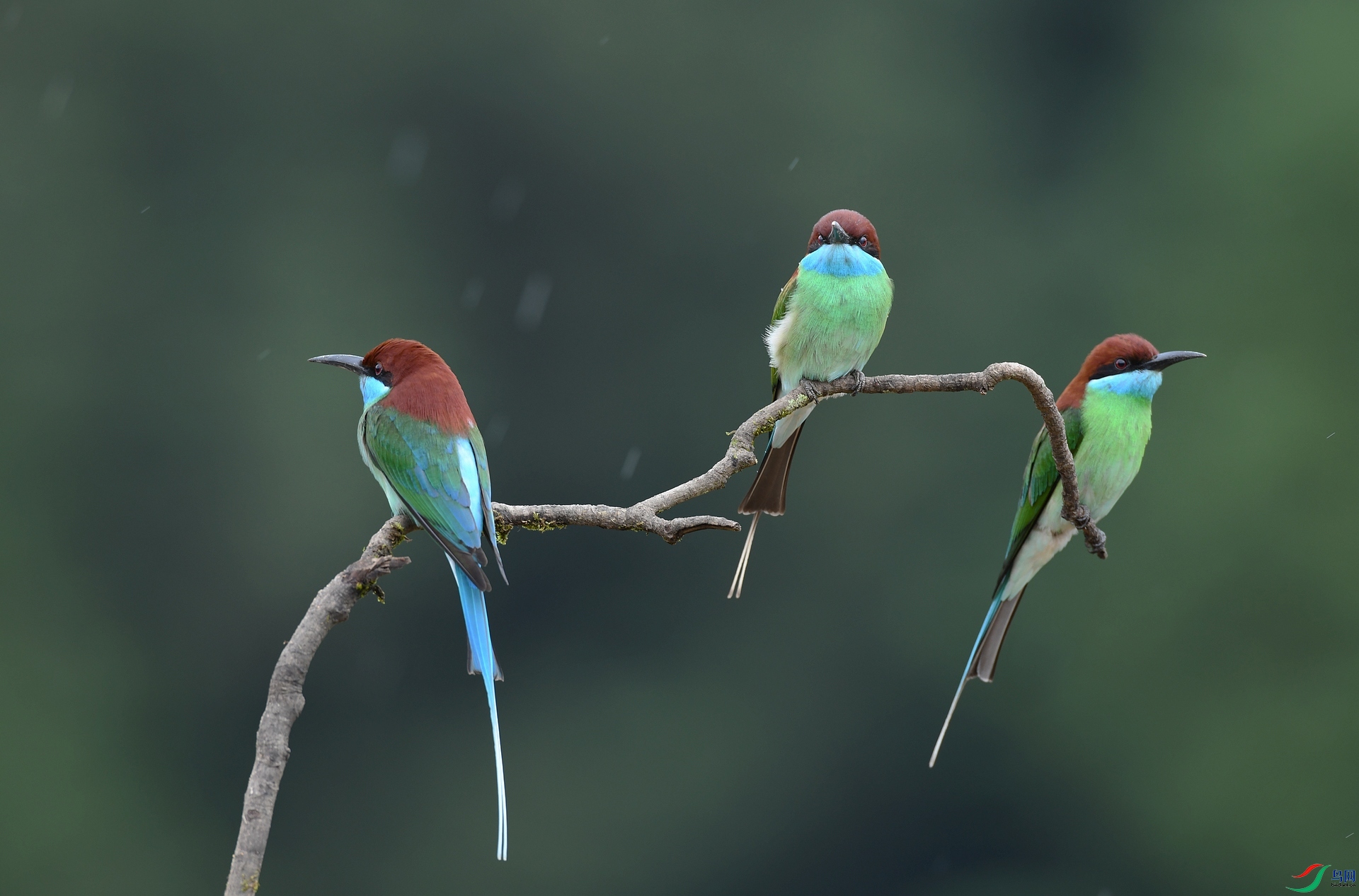 DSC_4466.jpg