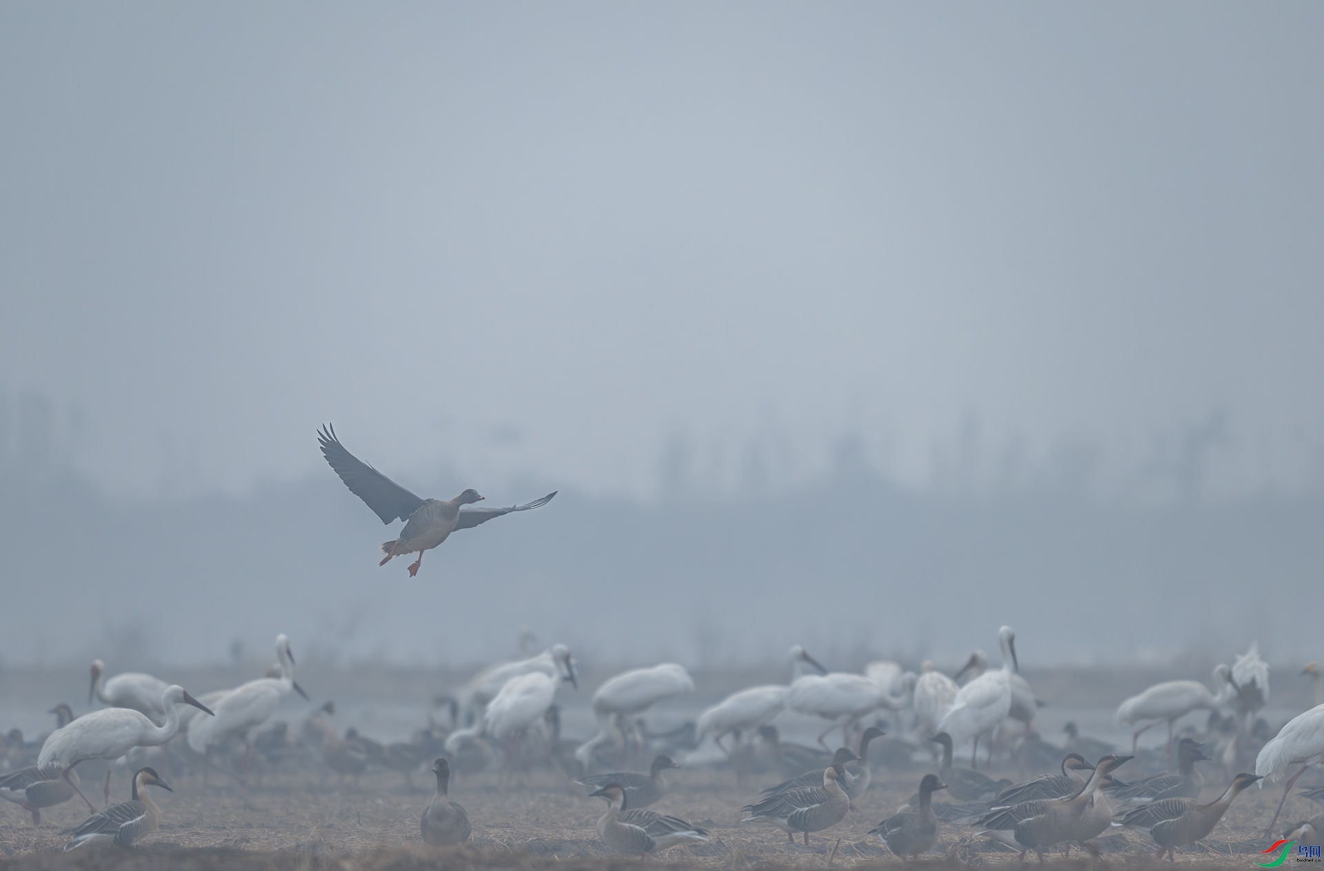 DSC_2994.jpg