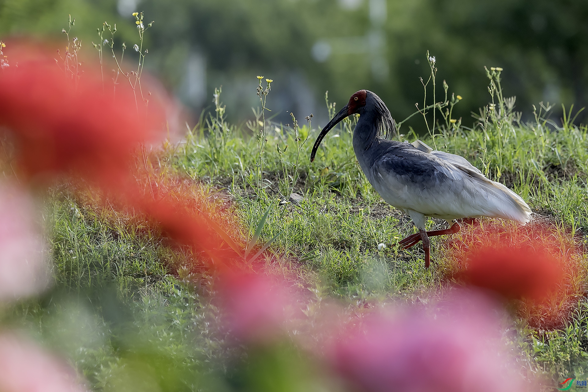 ���ļ���