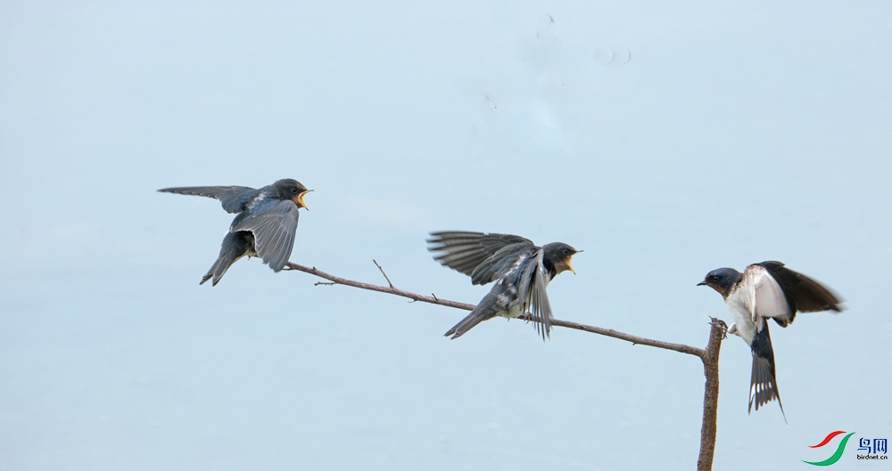 DSCF5422.1.jpg