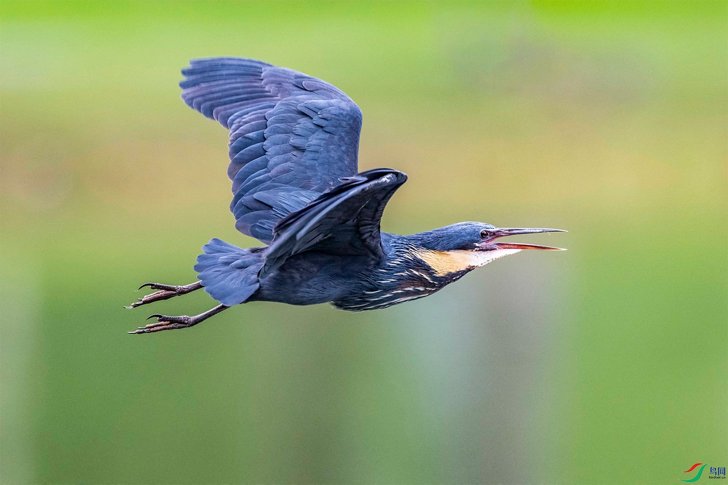 DSC_0755.jpg