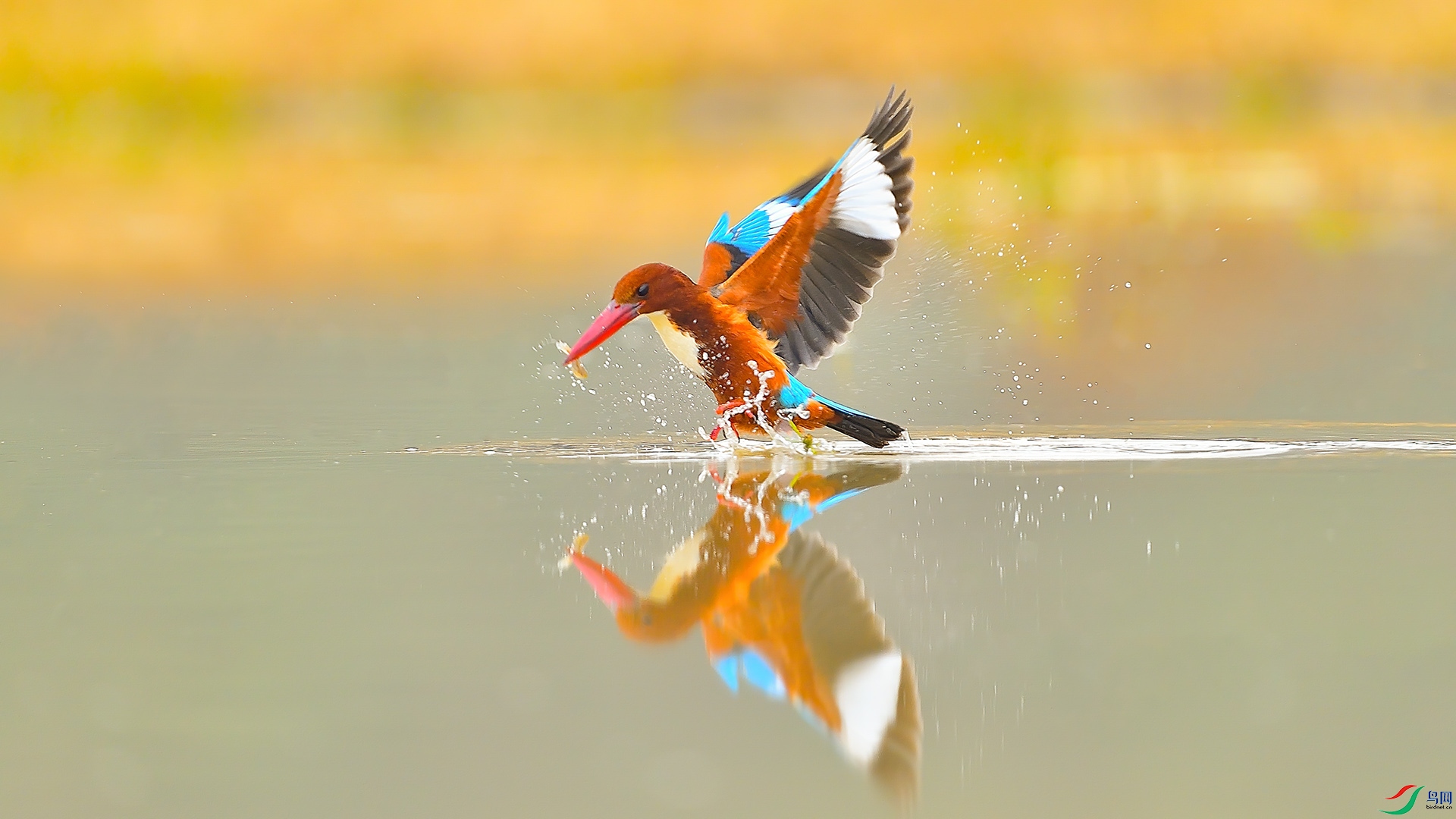 XIA_7305 ���� 3.jpg