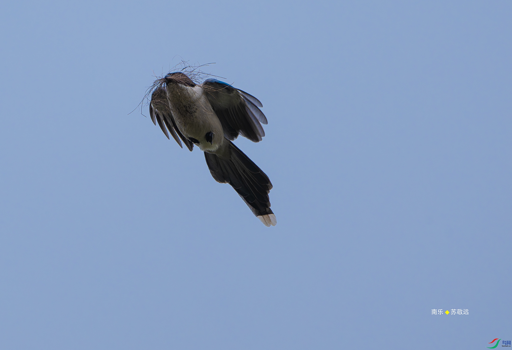 20250505-_DSC3663С.jpg
