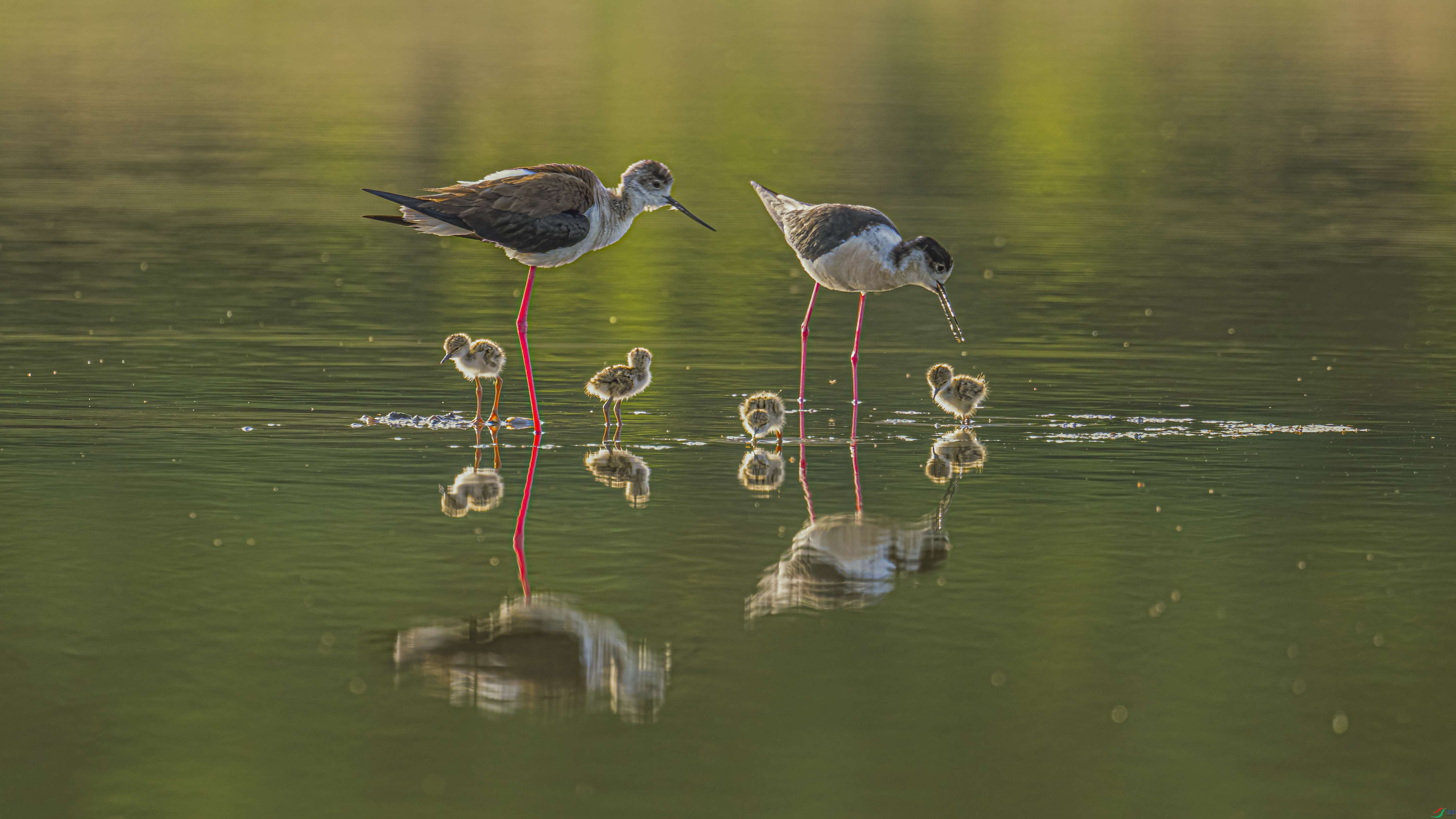 Ϊ����һ��