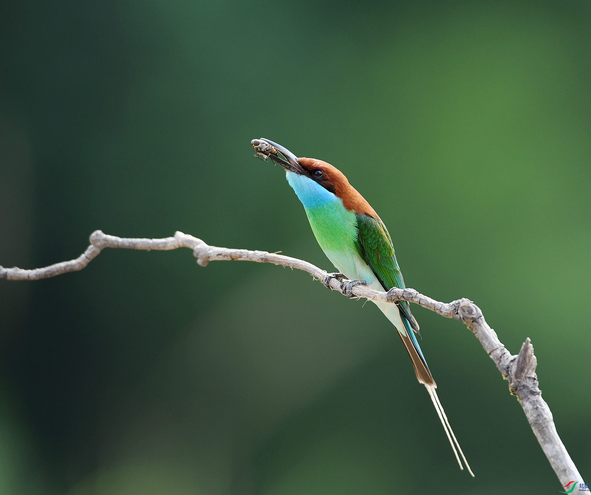 DSC_5015.jpg