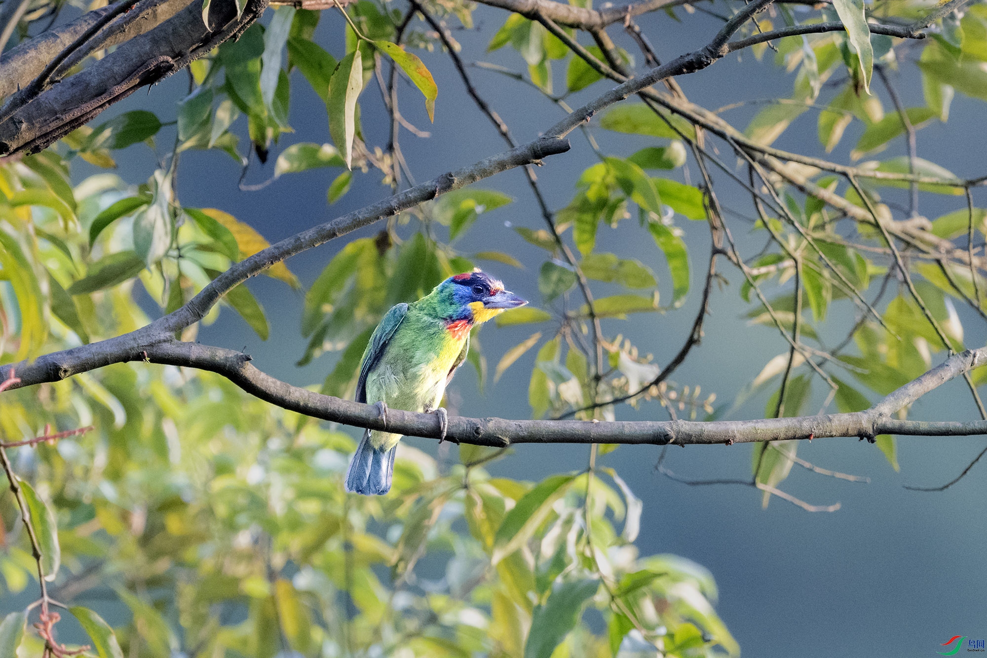 DSC_3542.jpg