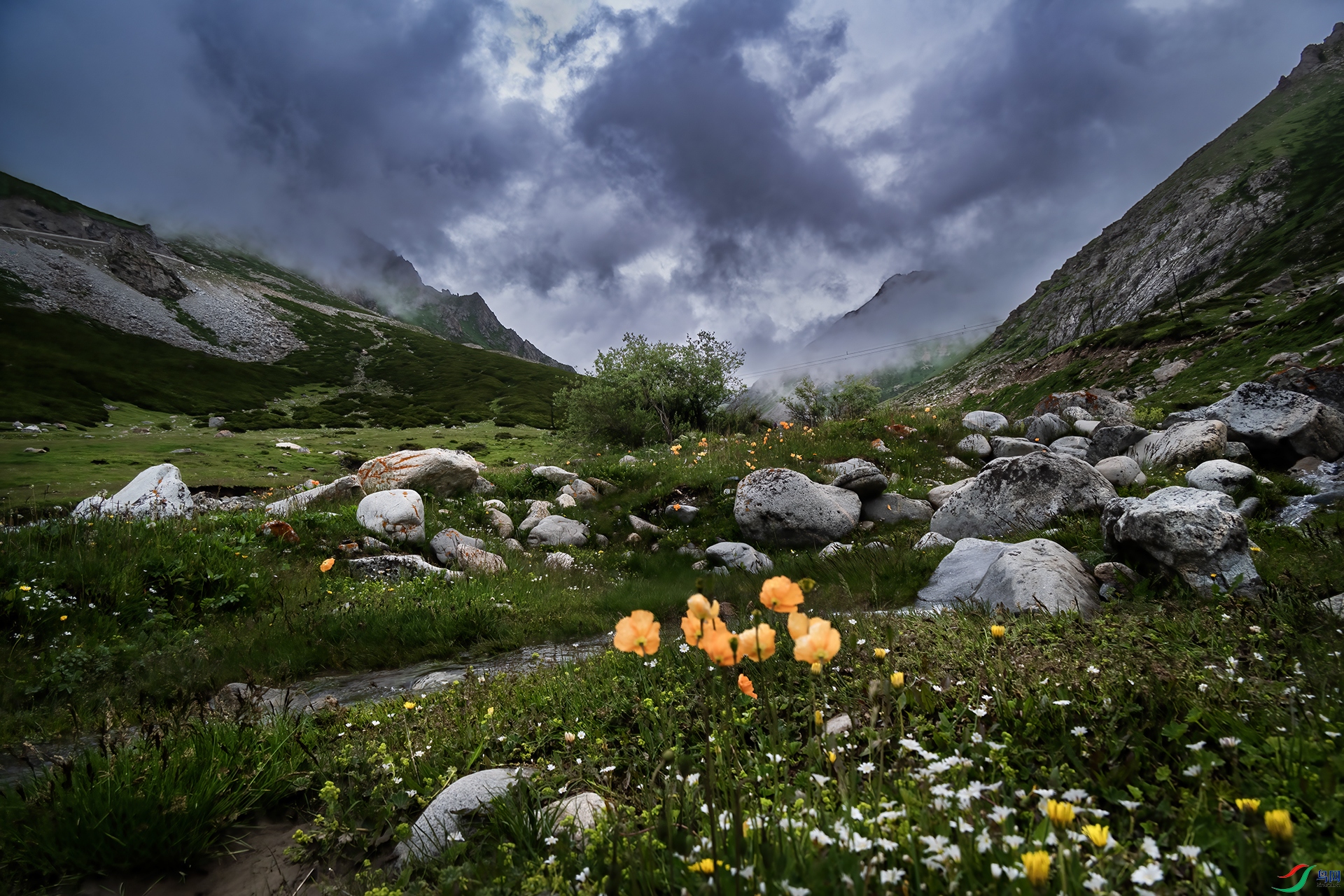 DSC_5738 ���⹫·���.jpg