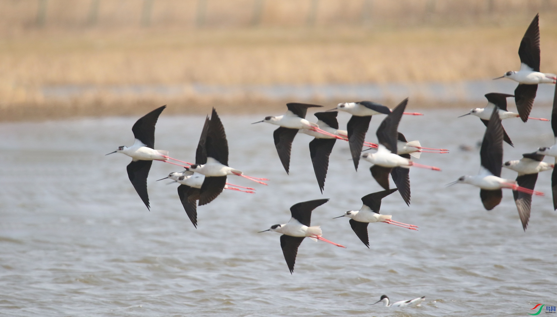 0G1A9021 ����.jpg