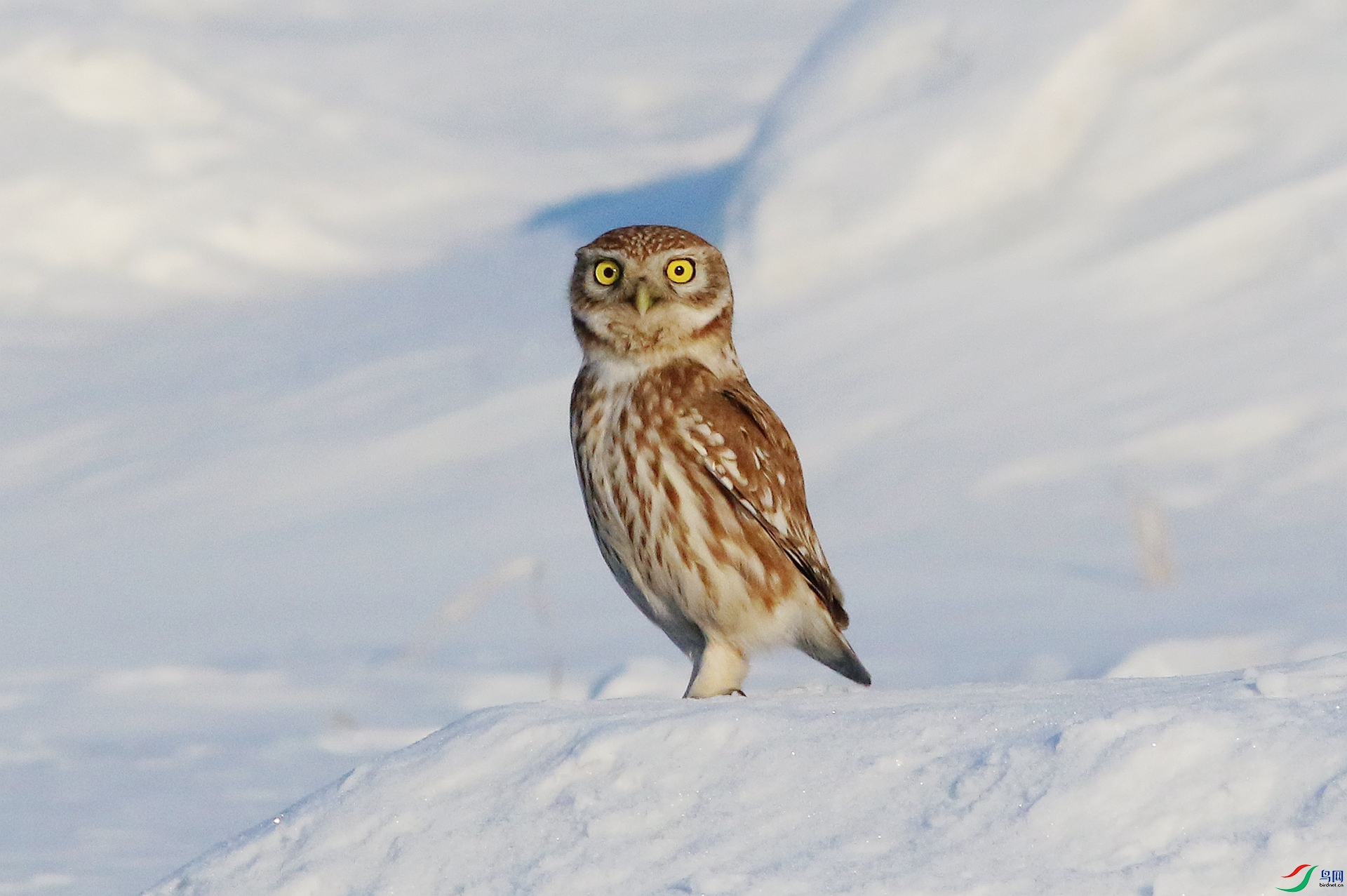 0G1A7928 ����.jpg