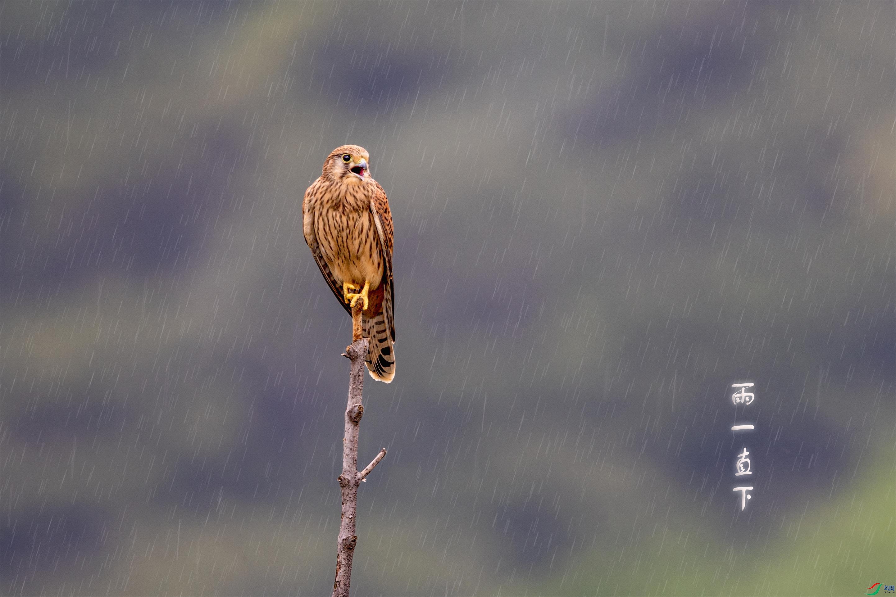 670A6866 - ����.jpg