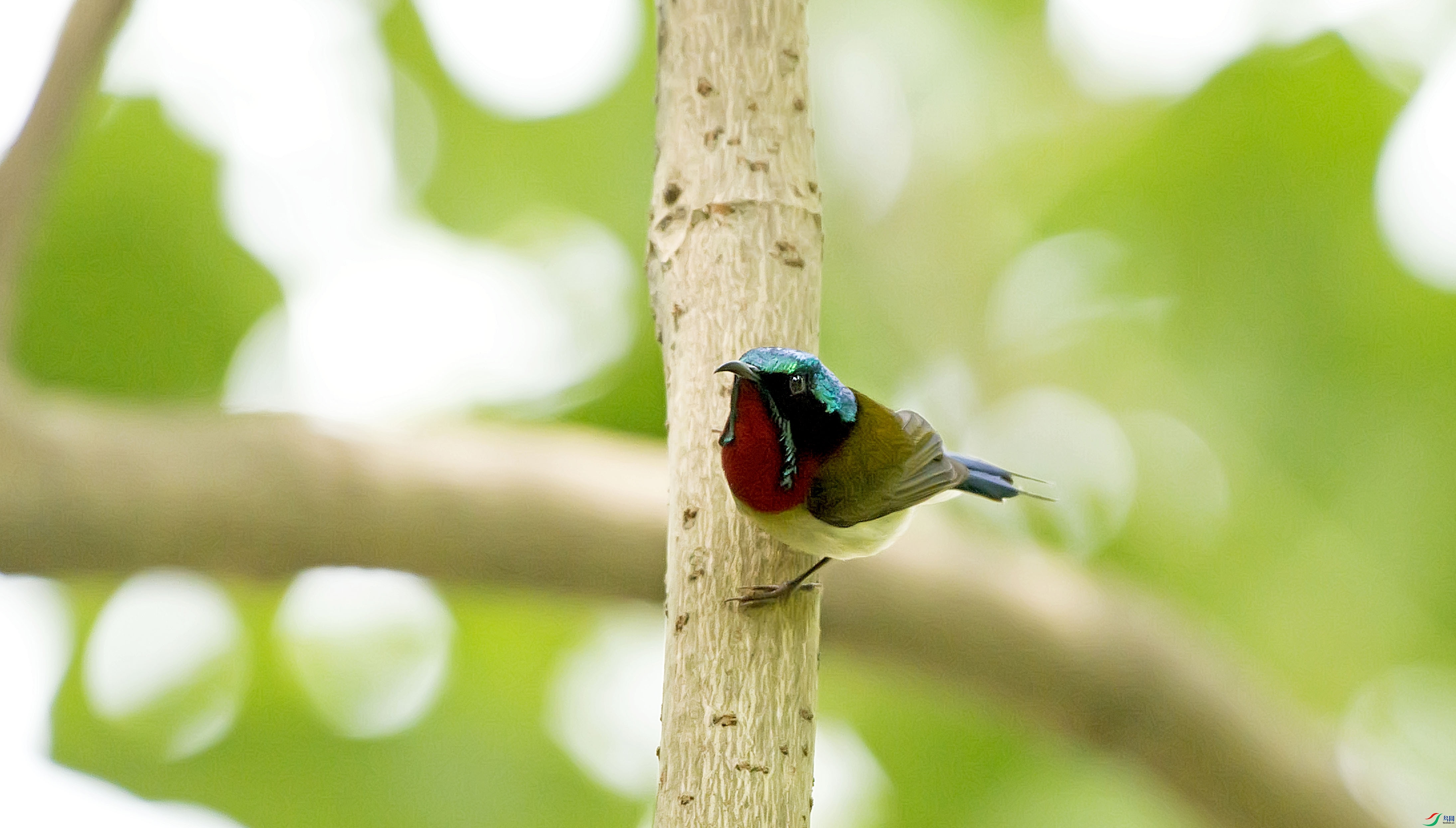 DSC_6876.jpg