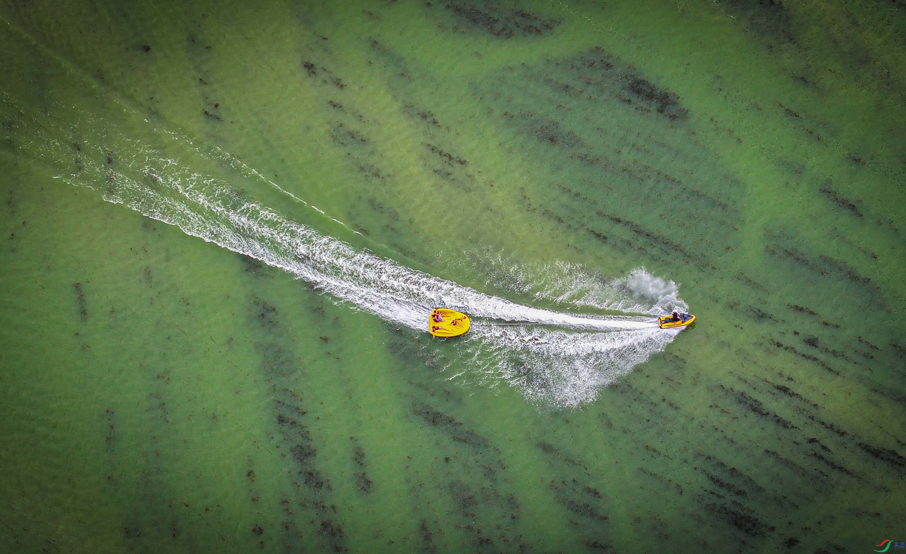 DJI_20250618142156_0167_D.JPG