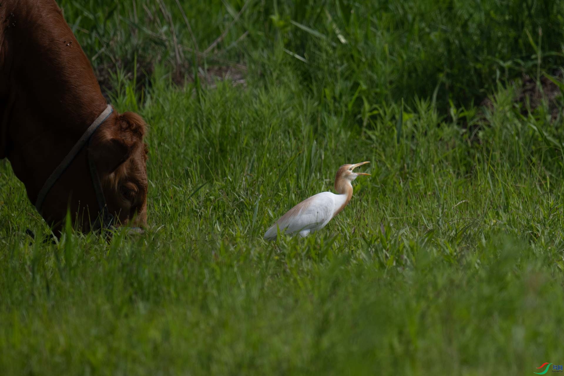 _DSC5703-1x1.jpg