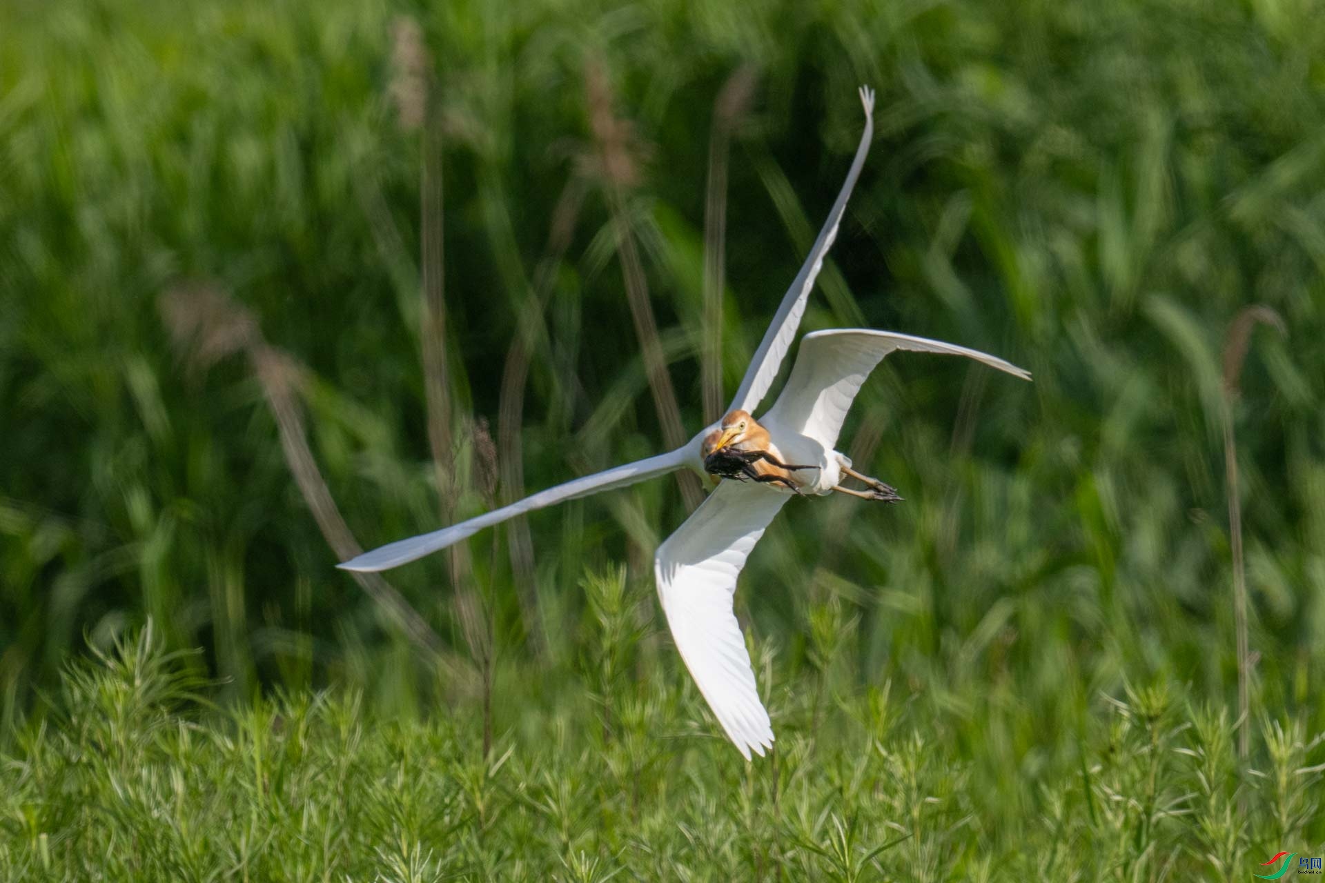 _DSC6987-1x11.jpg